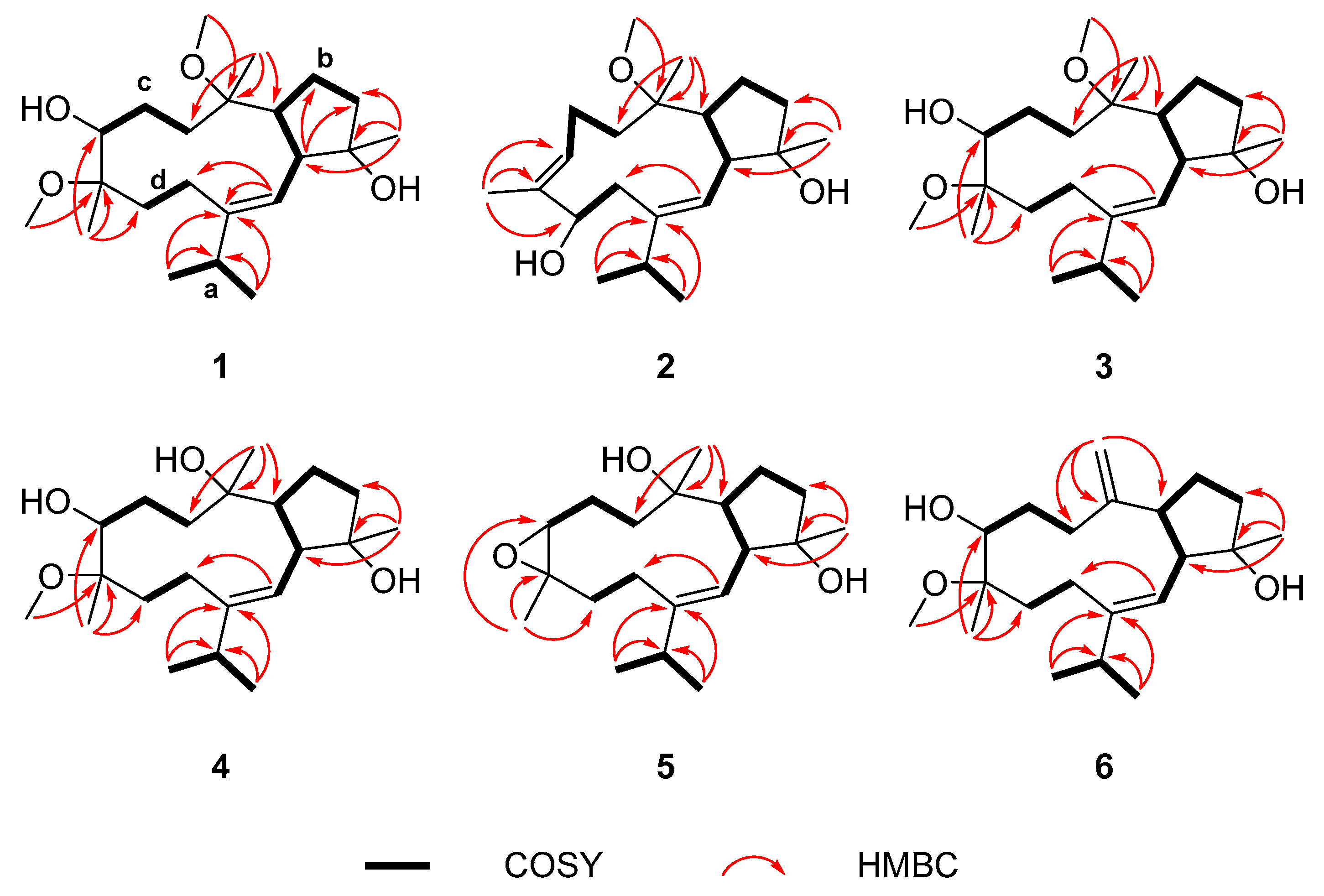 Marinedrugs 21 00645 g002