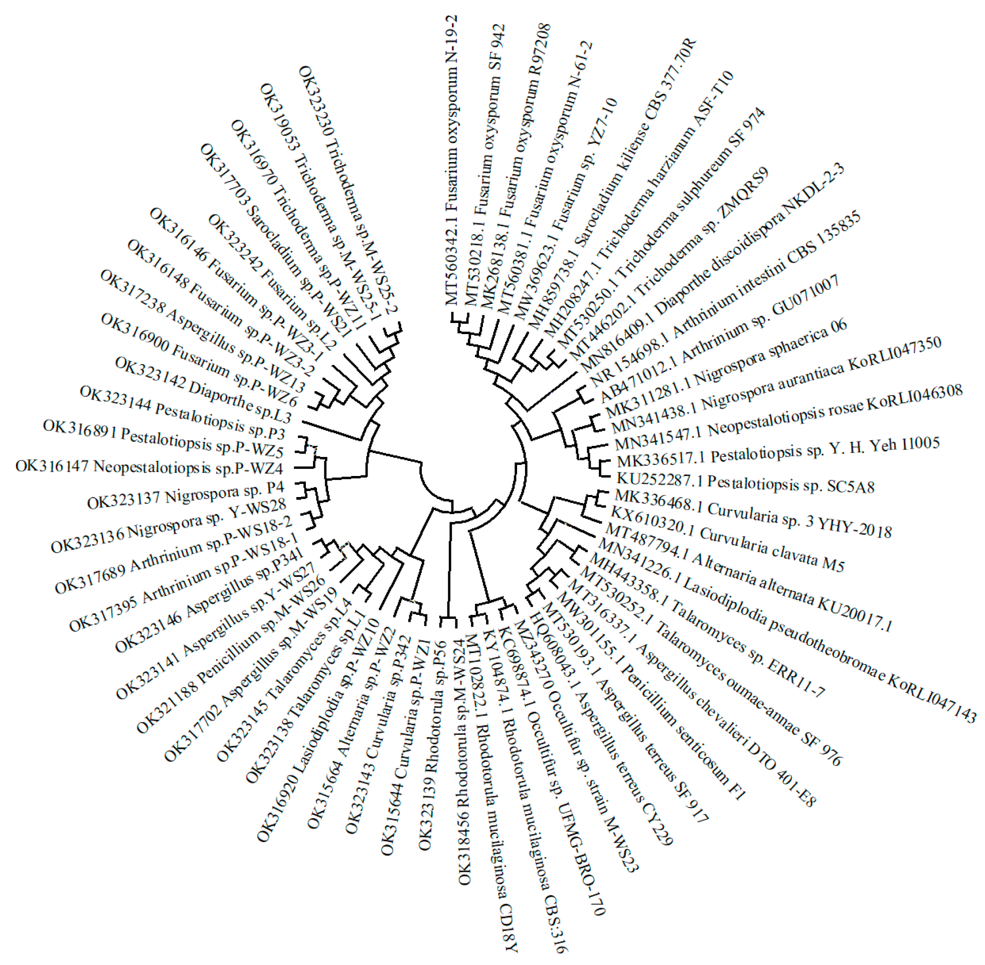 Marinedrugs 21 00646 g002