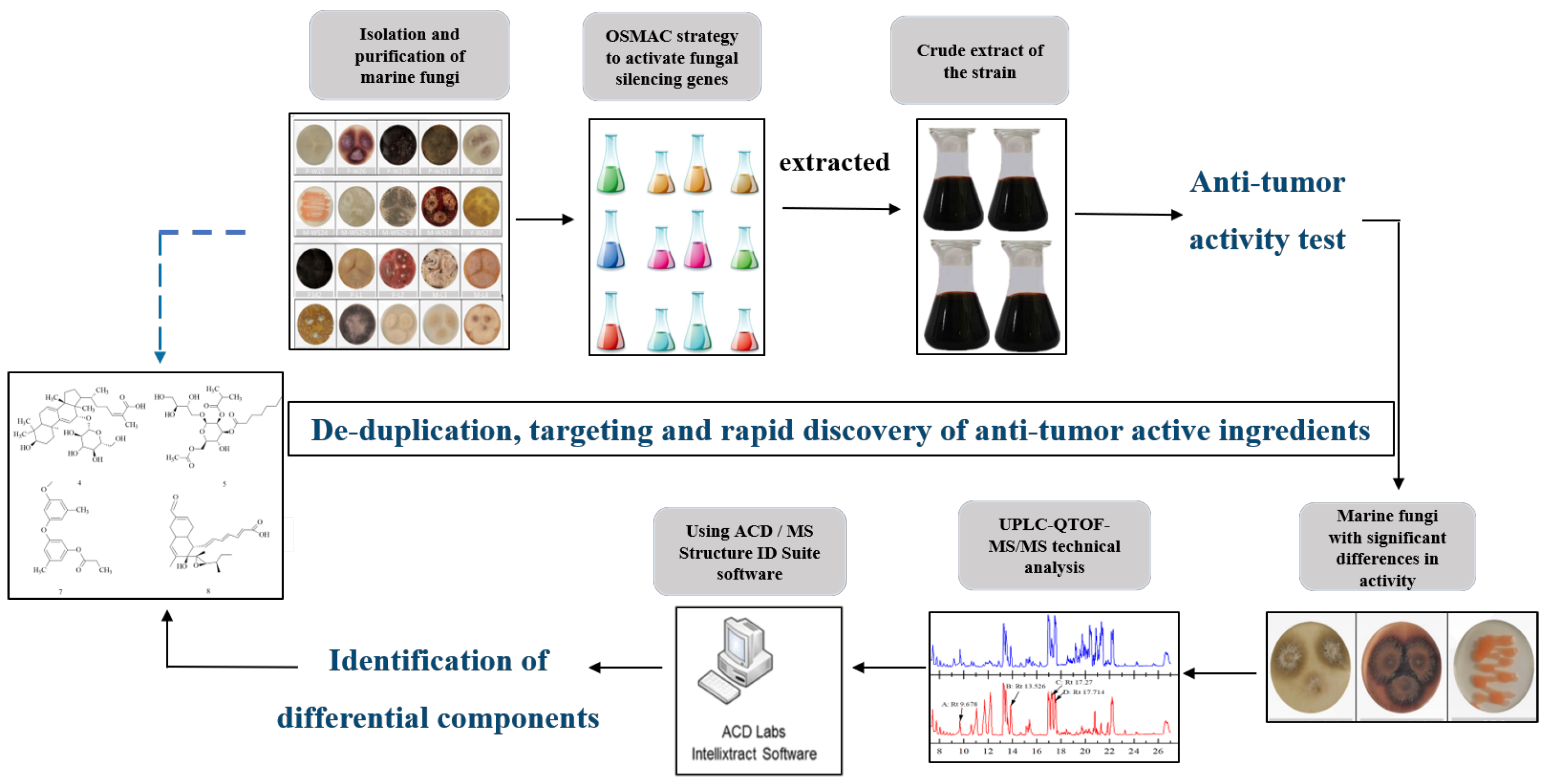 Marinedrugs 21 00646 g006