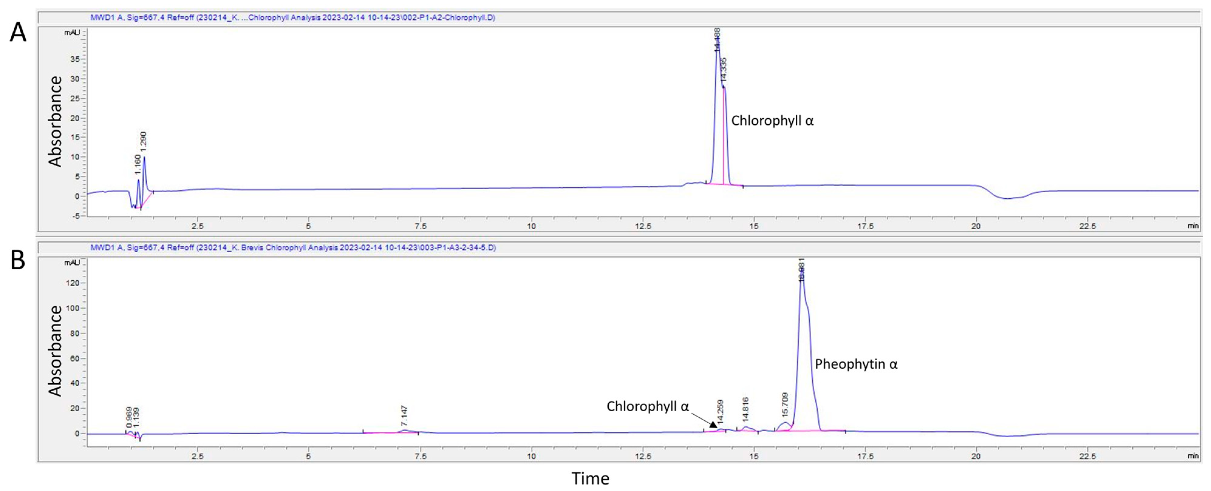 Marinedrugs 22 00004 g002