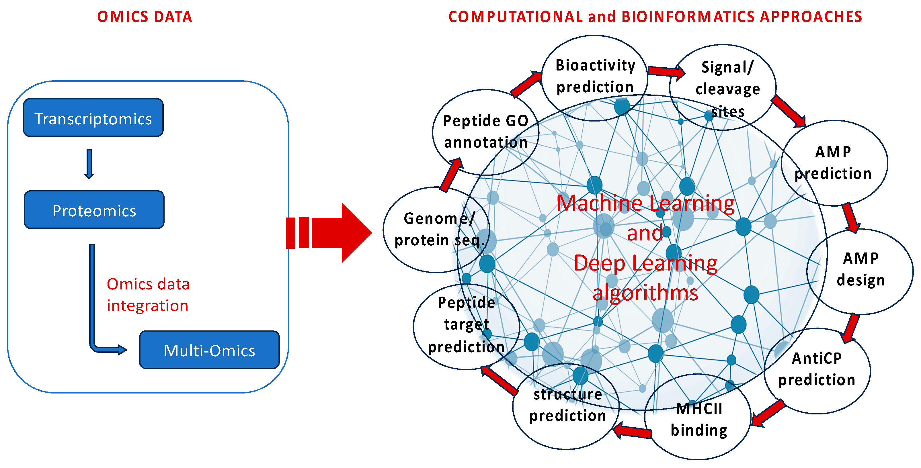 Marinedrugs 22 00006 g004