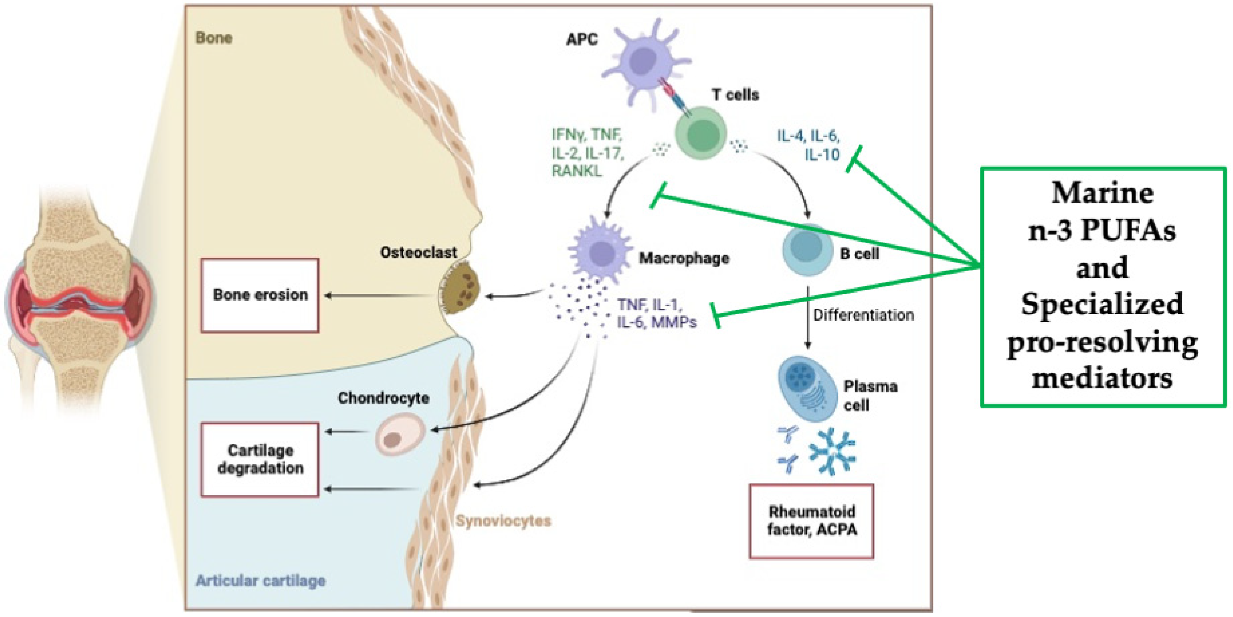 Marinedrugs 22 00017 g003