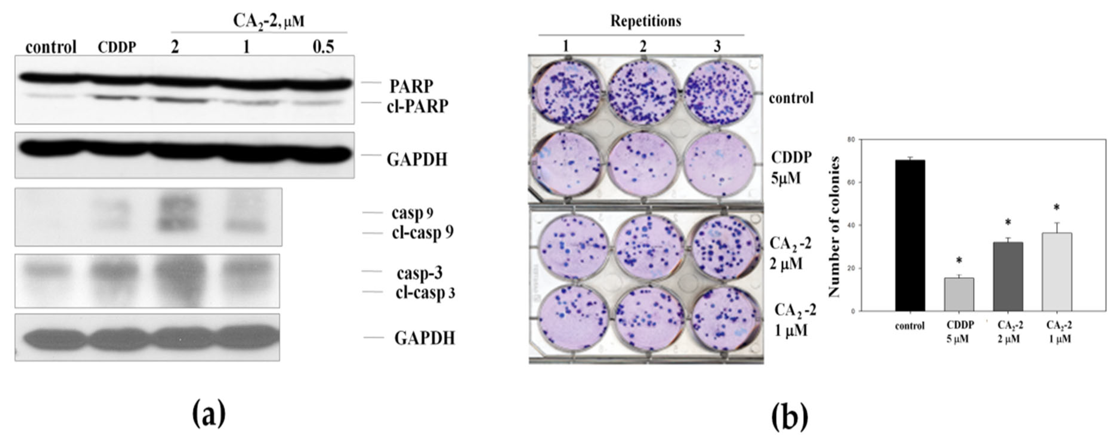 Marinedrugs 22 00020 g002