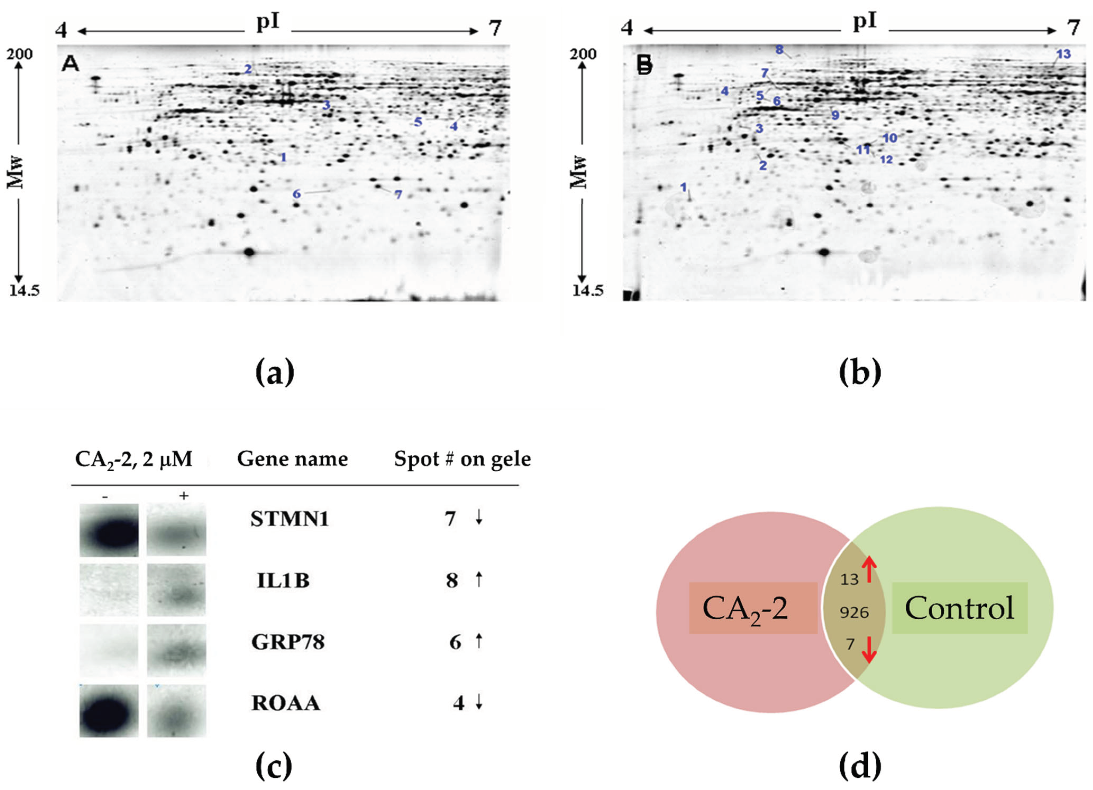 Marinedrugs 22 00020 g004