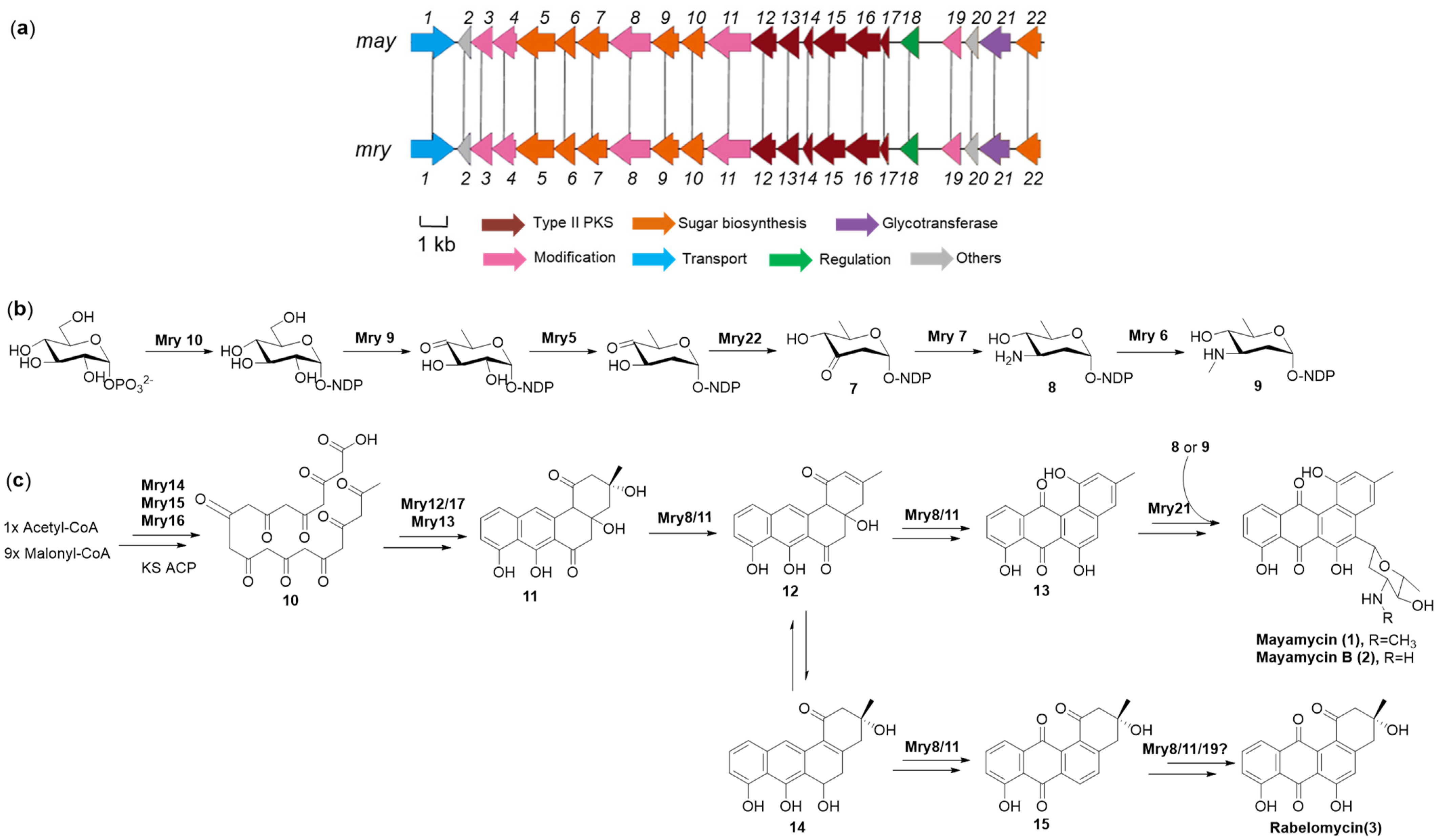 Marinedrugs 22 00021 g004