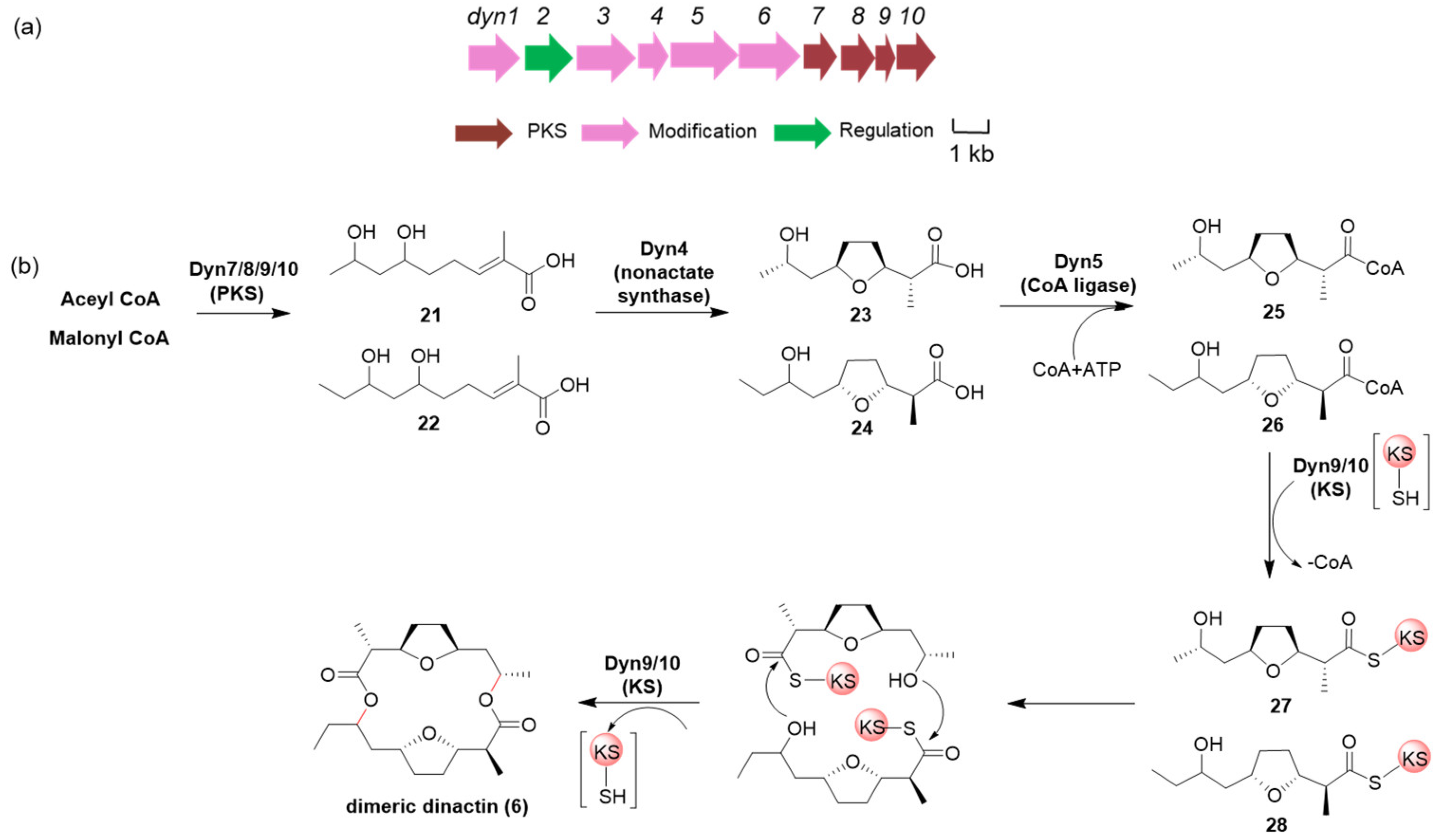 Marinedrugs 22 00021 g006