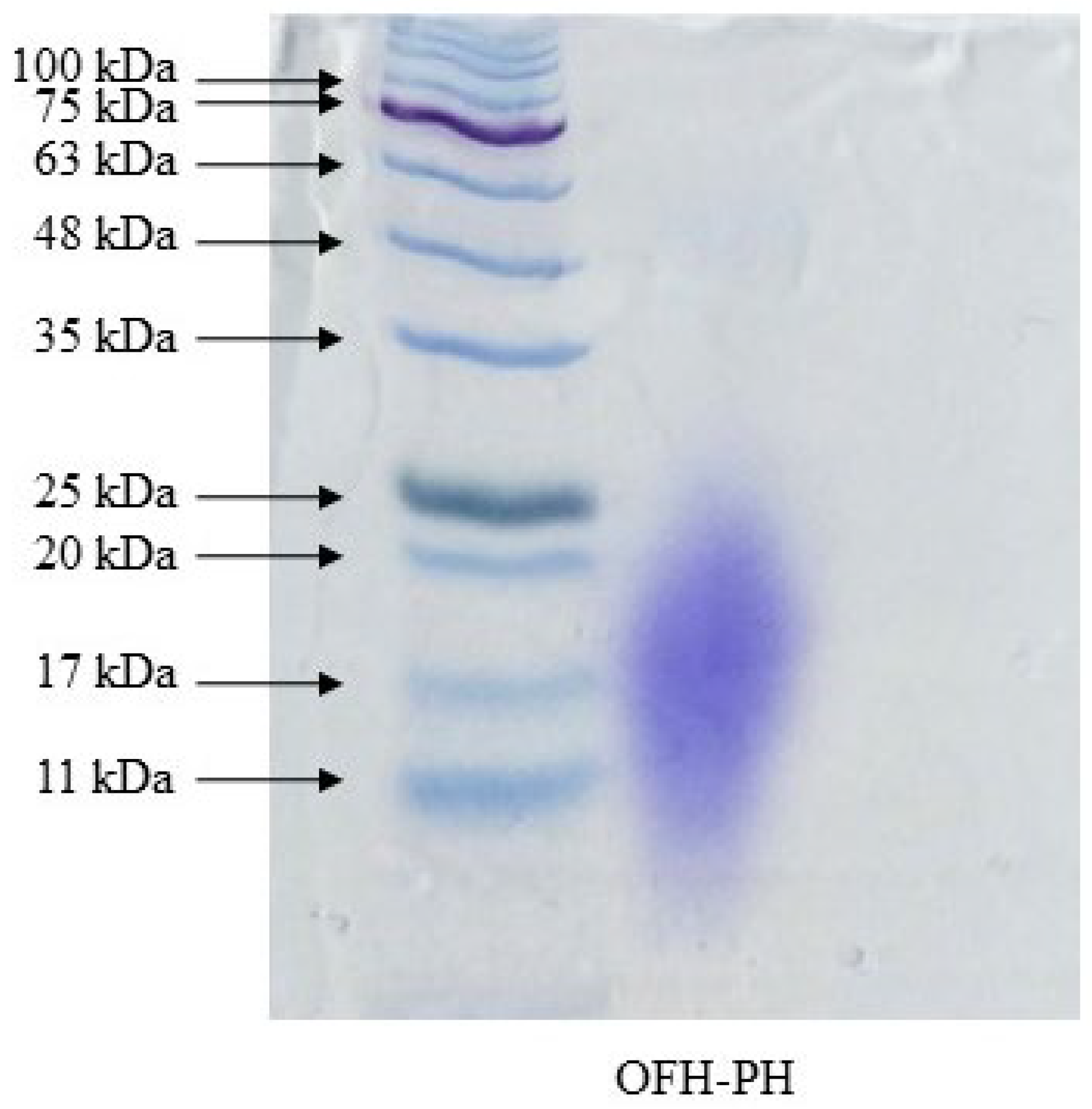 Marinedrugs 22 00024 g002