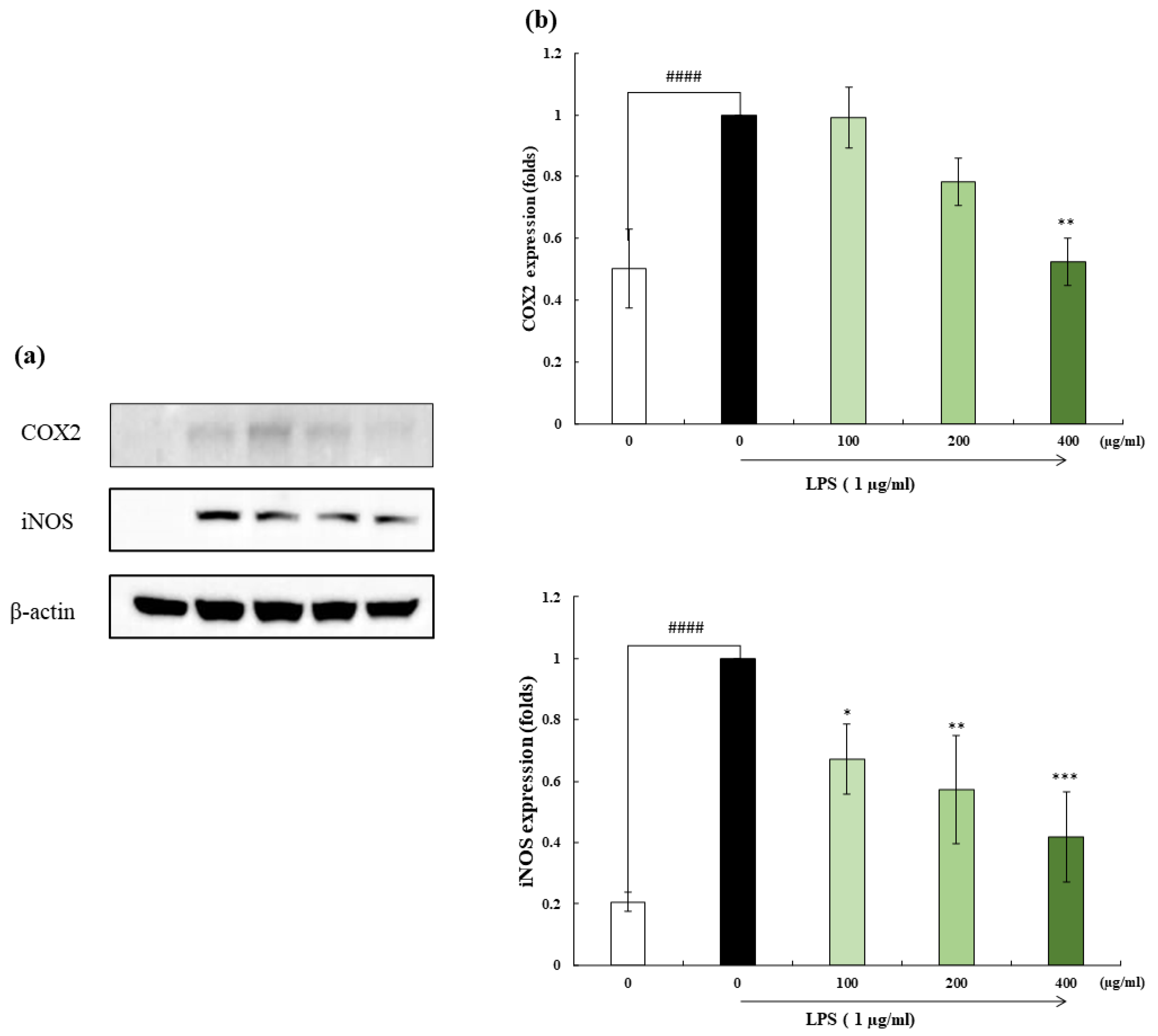 Marinedrugs 22 00024 g004