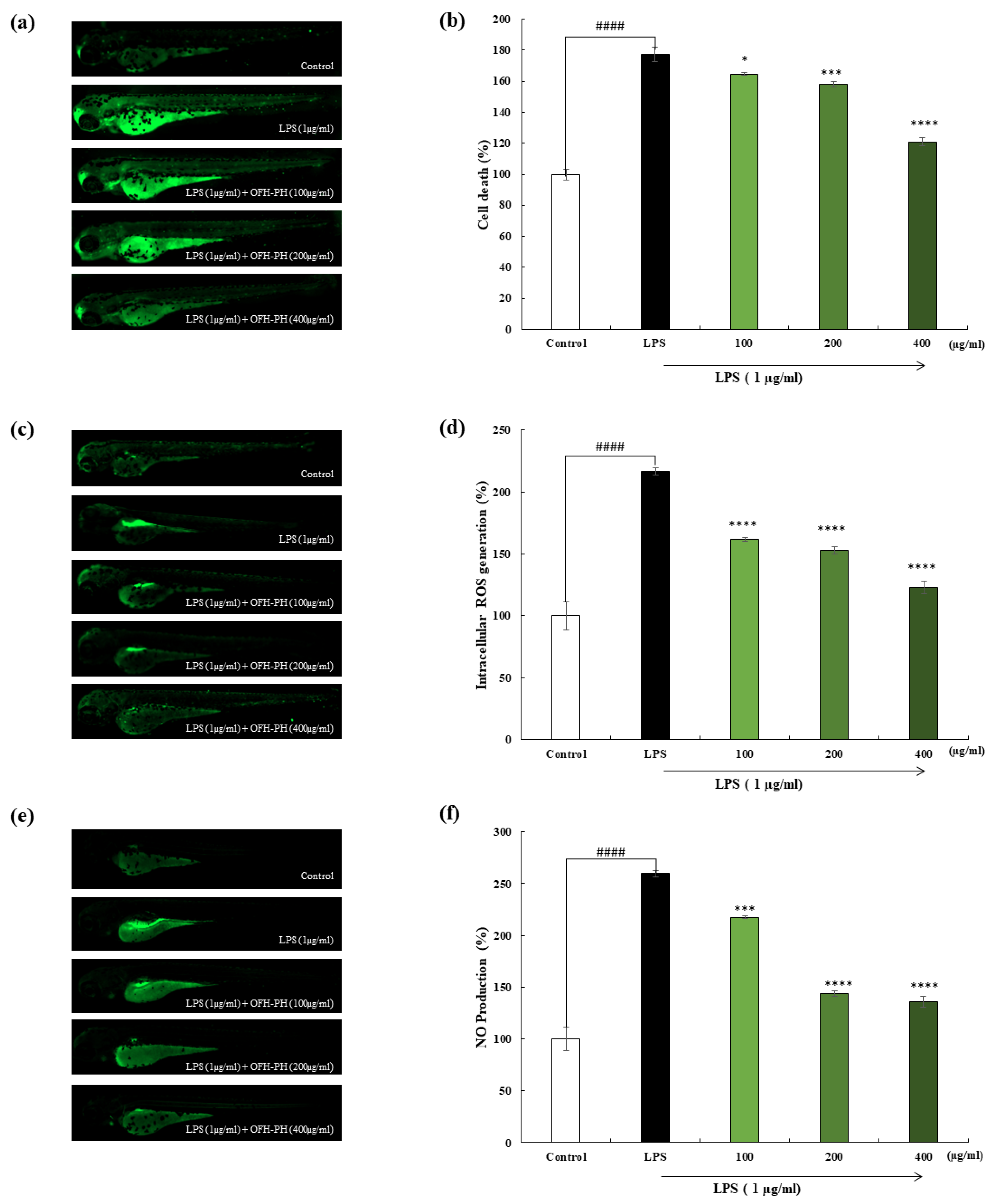 Marinedrugs 22 00024 g006