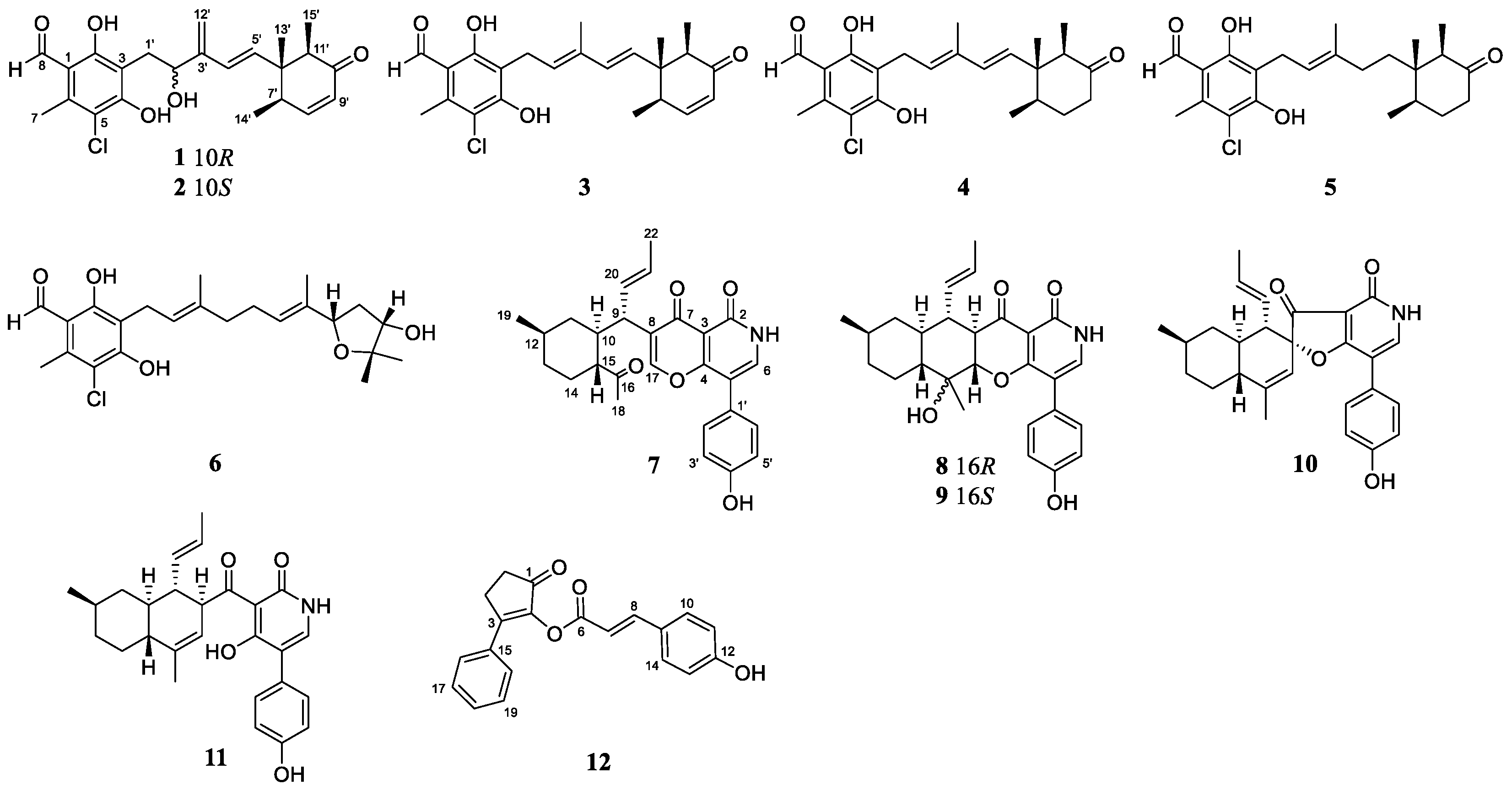 Marinedrugs 22 00025 g001