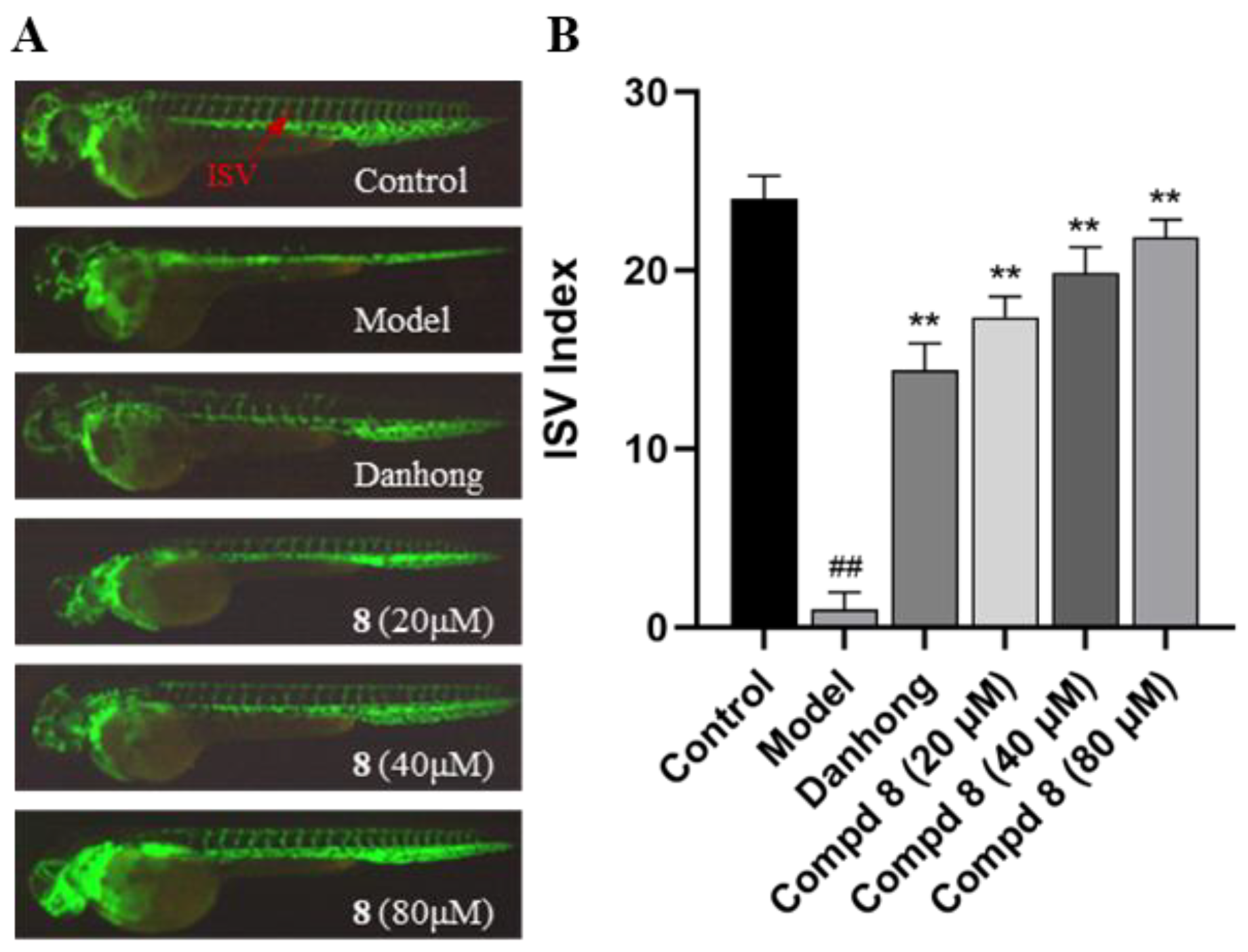 Marinedrugs 22 00025 g008