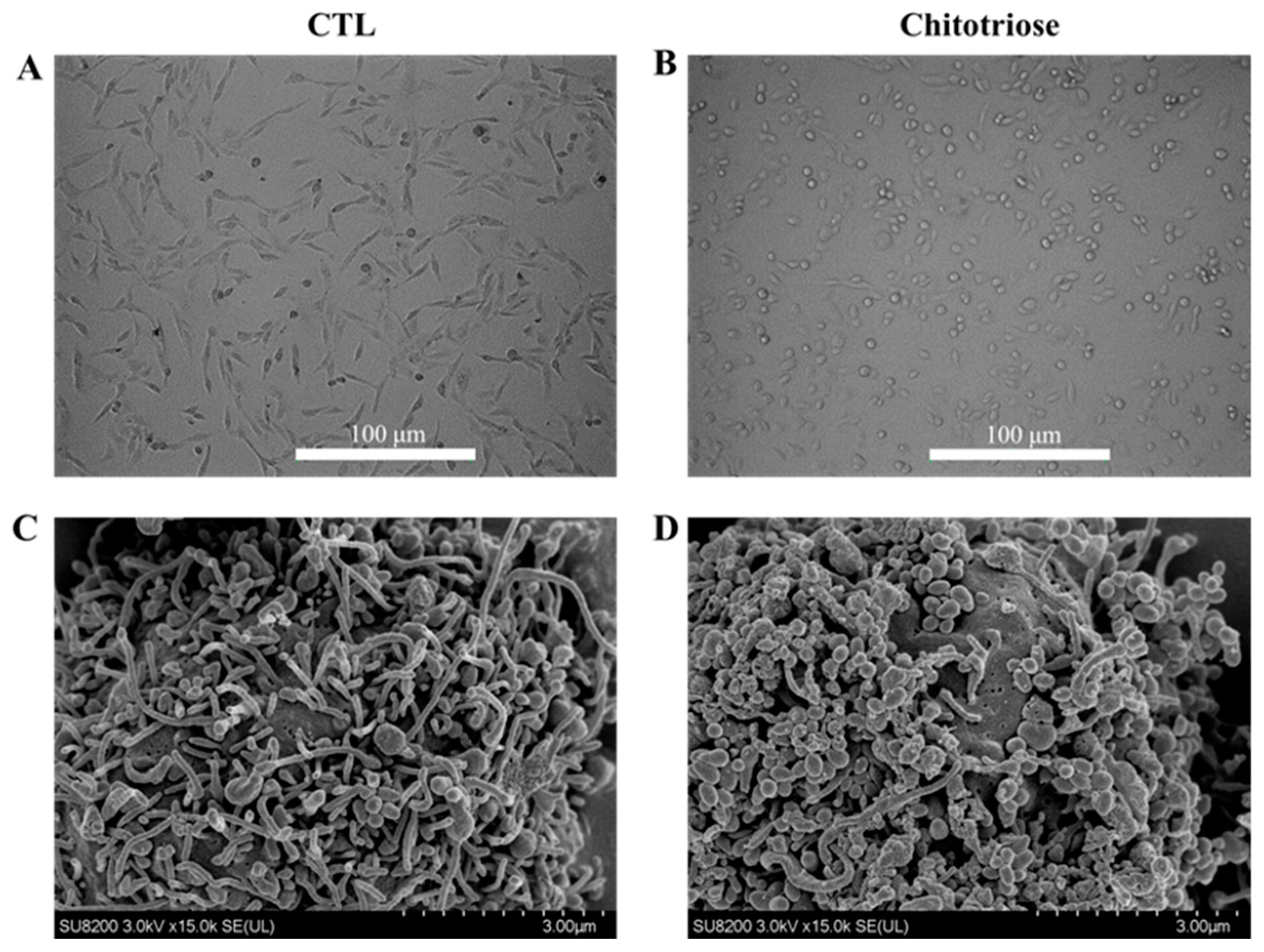 Marinedrugs 22 00026 g002
