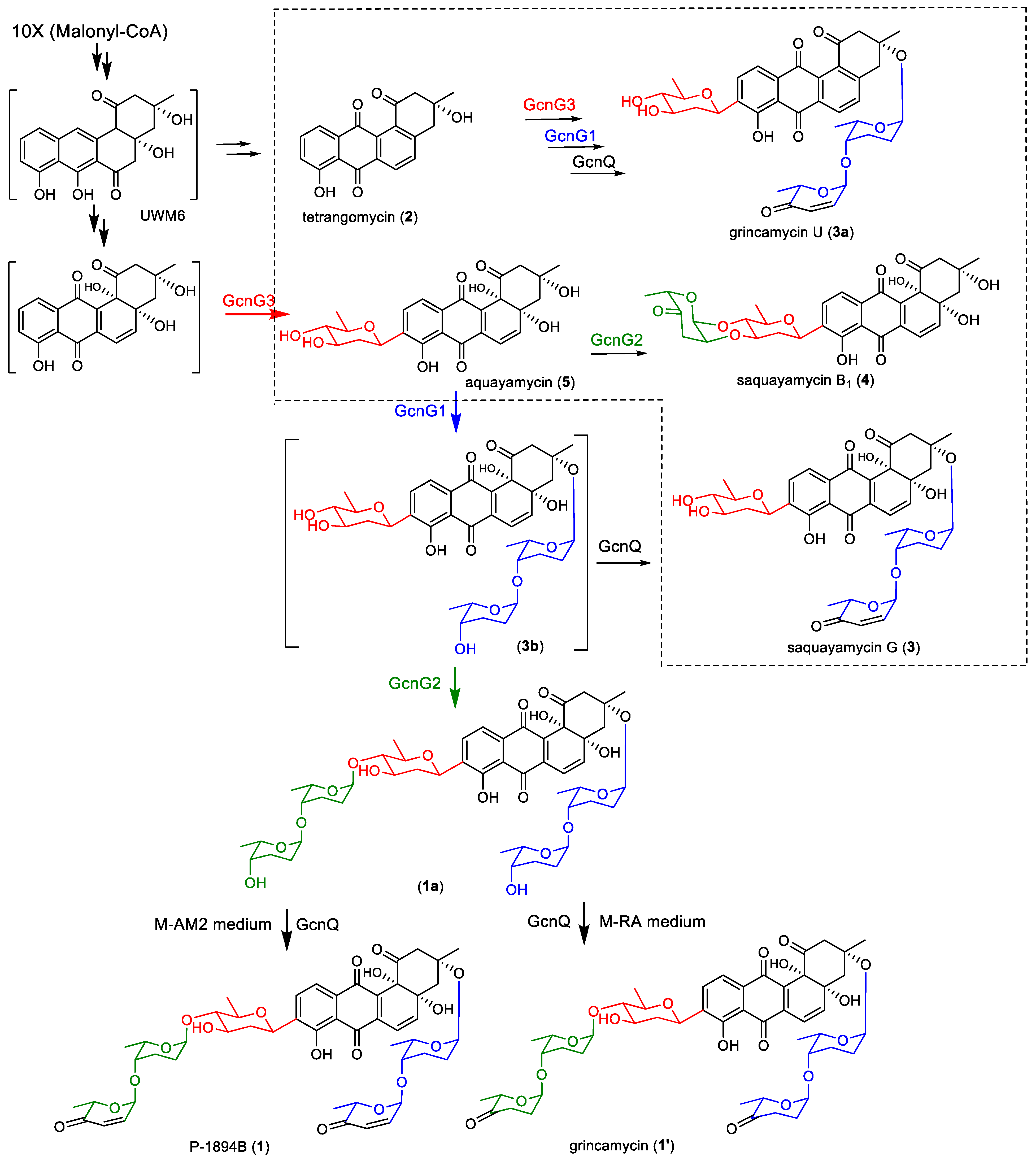Marinedrugs 22 00032 g005