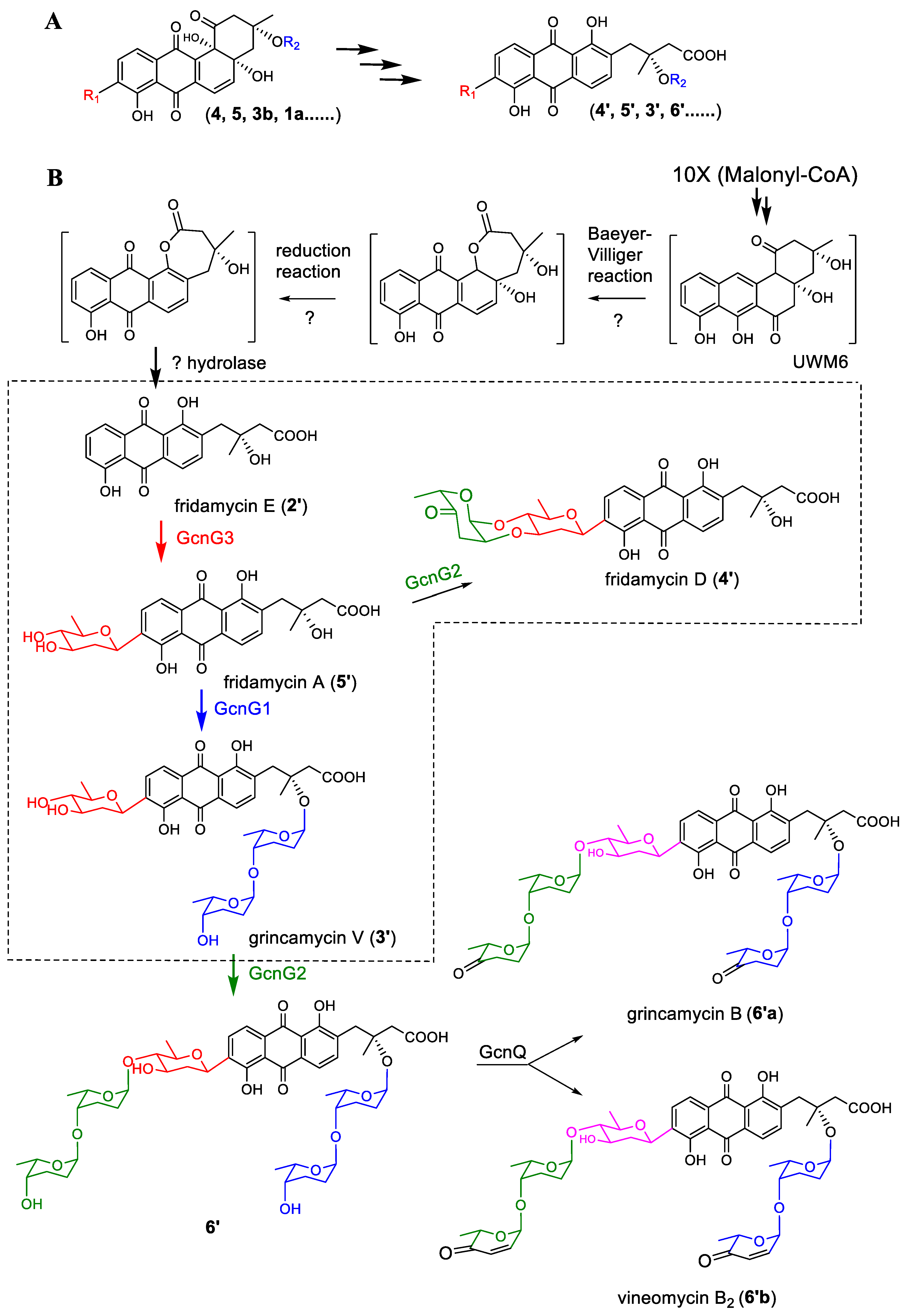 Marinedrugs 22 00032 g006