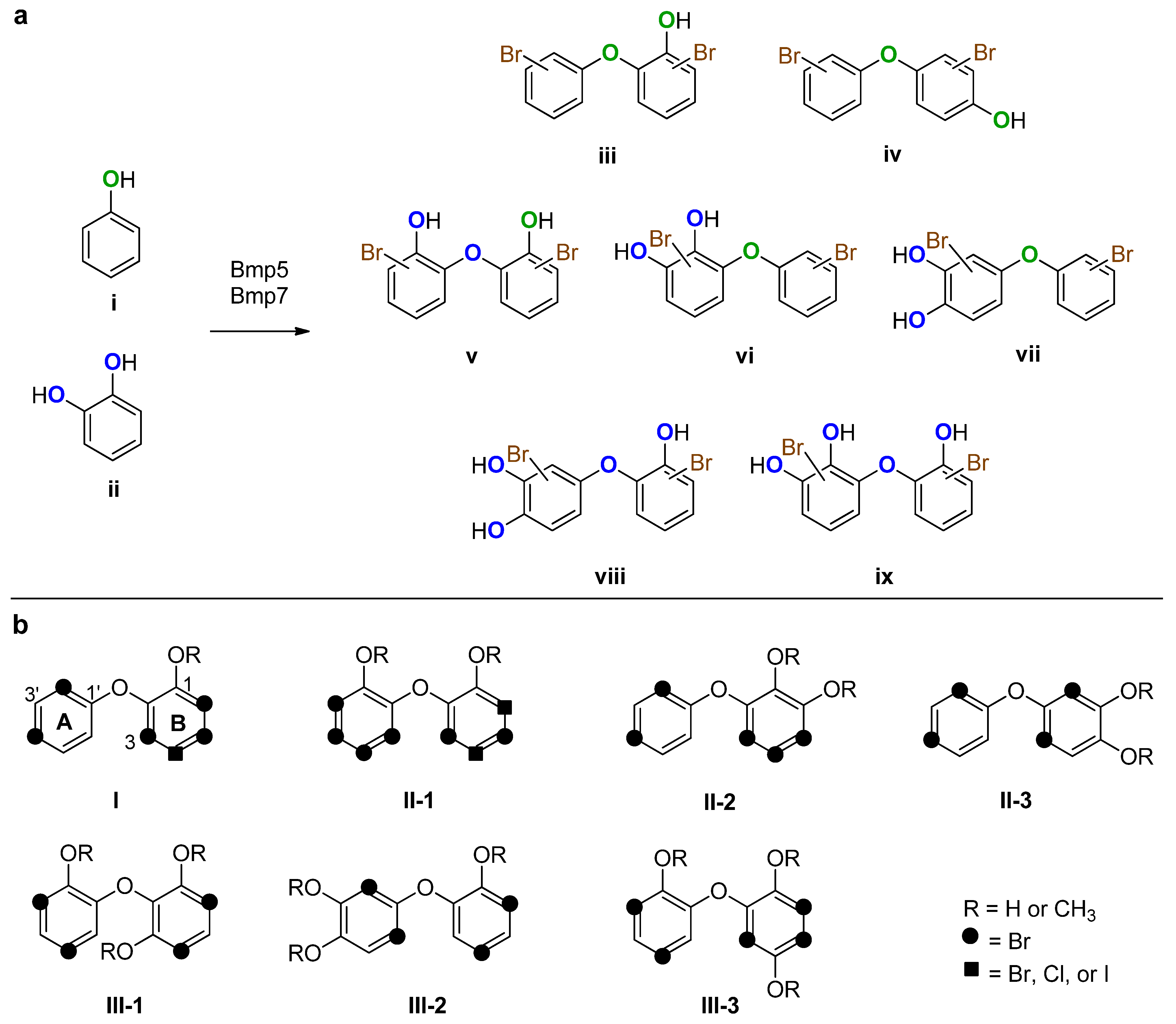 Marinedrugs 22 00033 g001