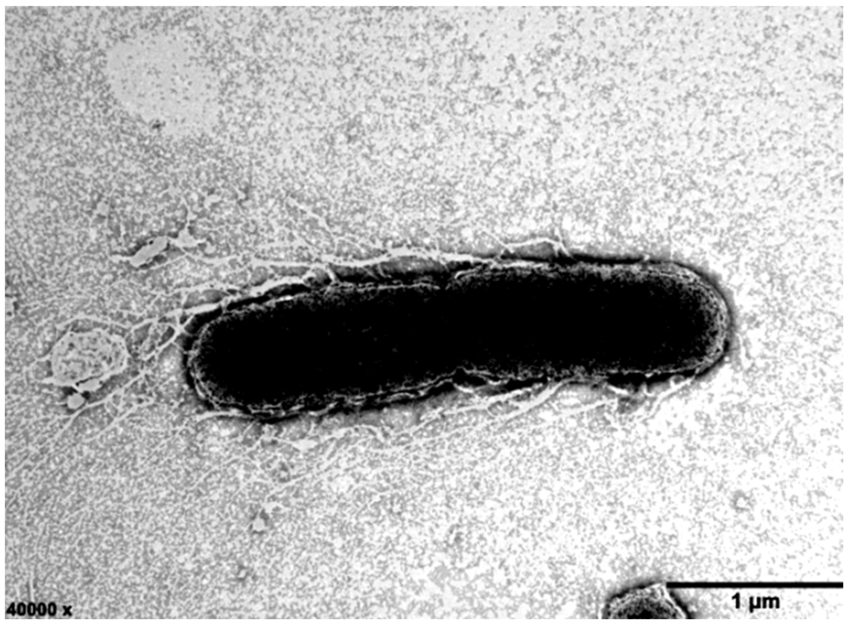 Marinedrugs 22 00036 g001