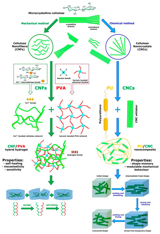 Marinedrugs 22 00037 g009 Marinedrugs 22 00037 g009
