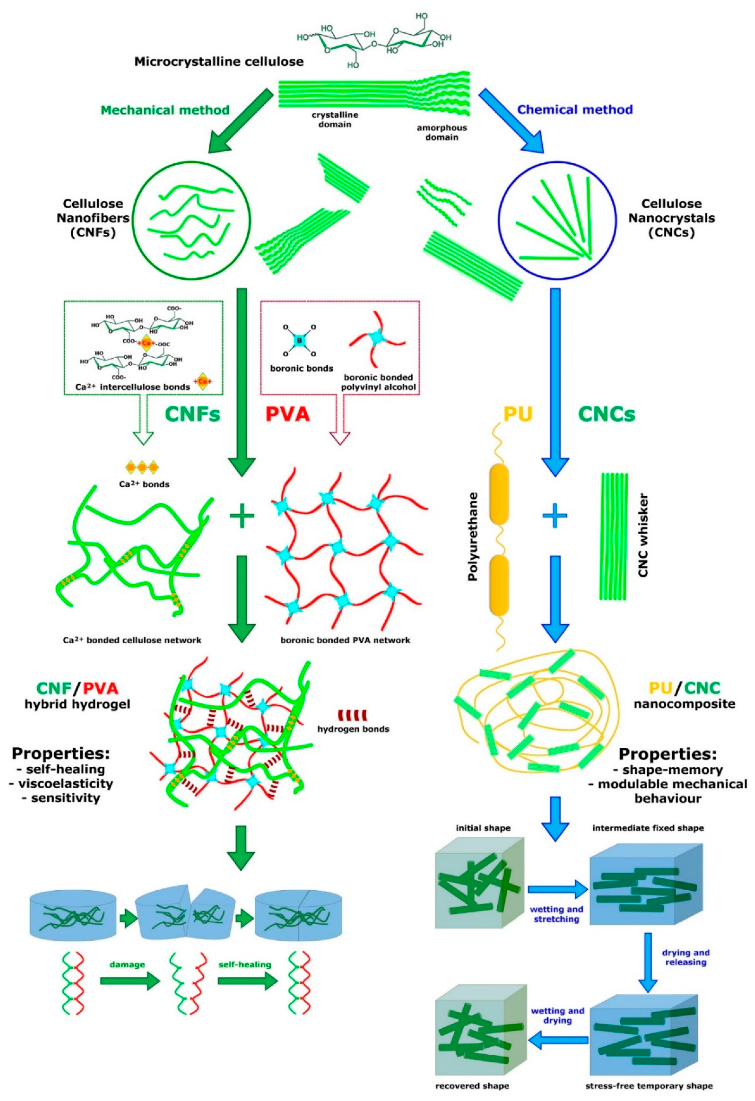 Marinedrugs 22 00037 g009
