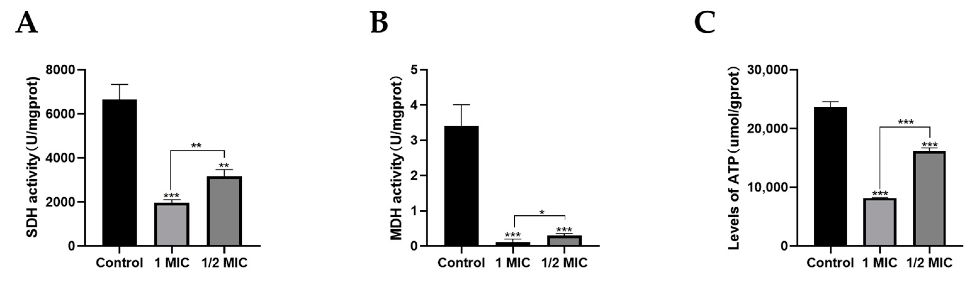 Marinedrugs 22 00038 g006