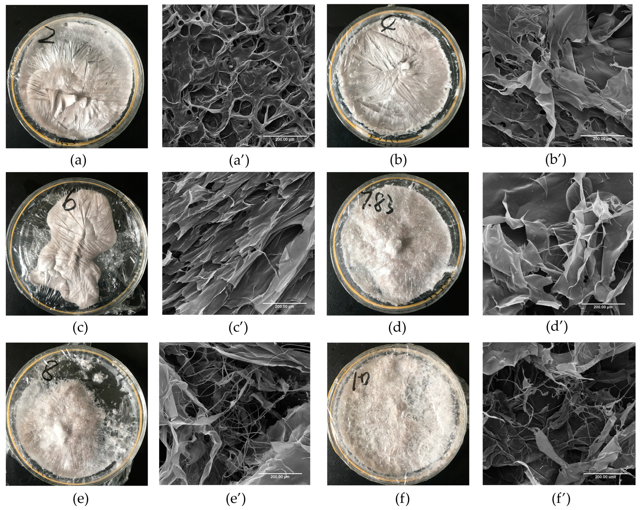 Marinedrugs 22 00045 g003