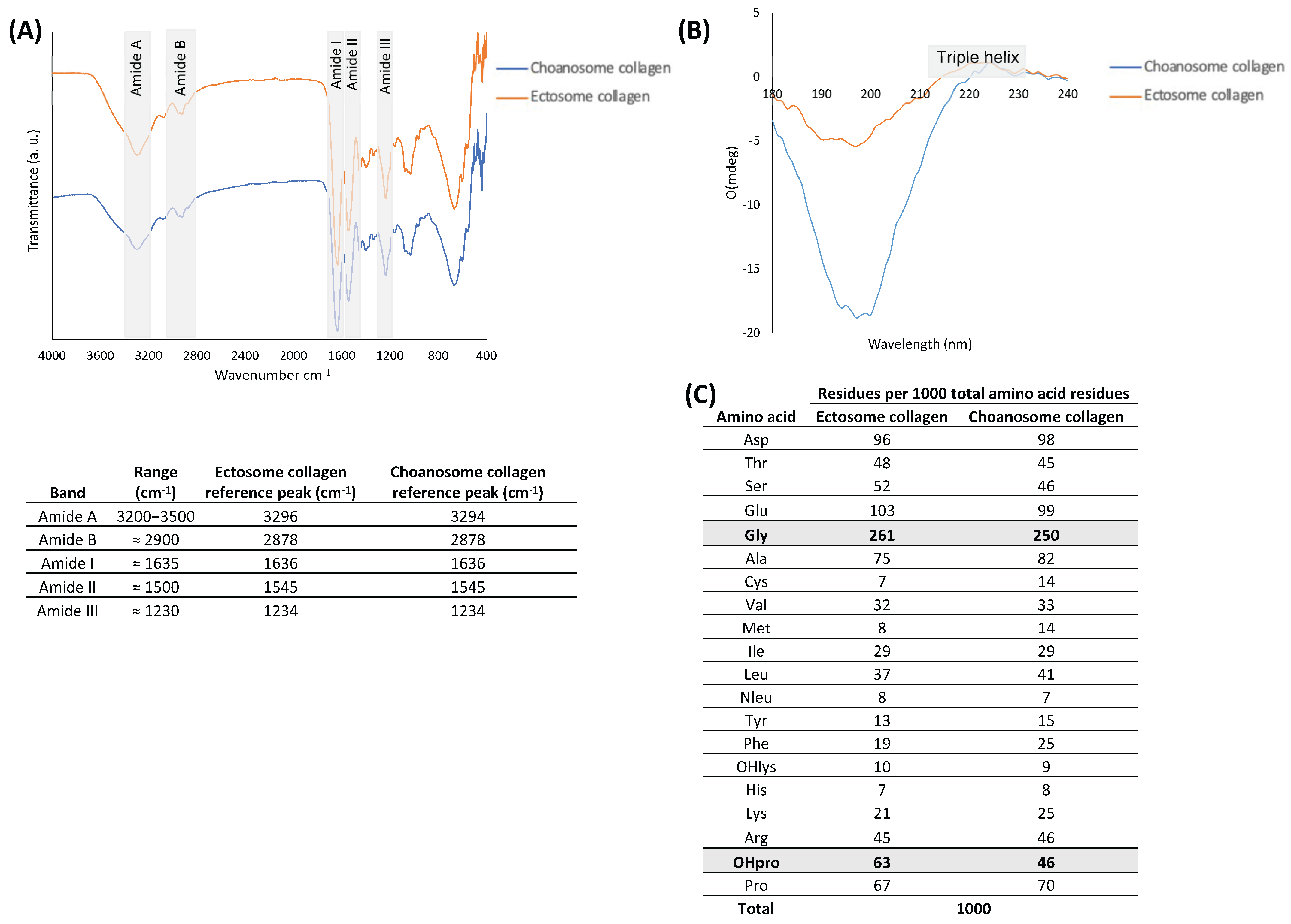 Marinedrugs 22 00055 g002