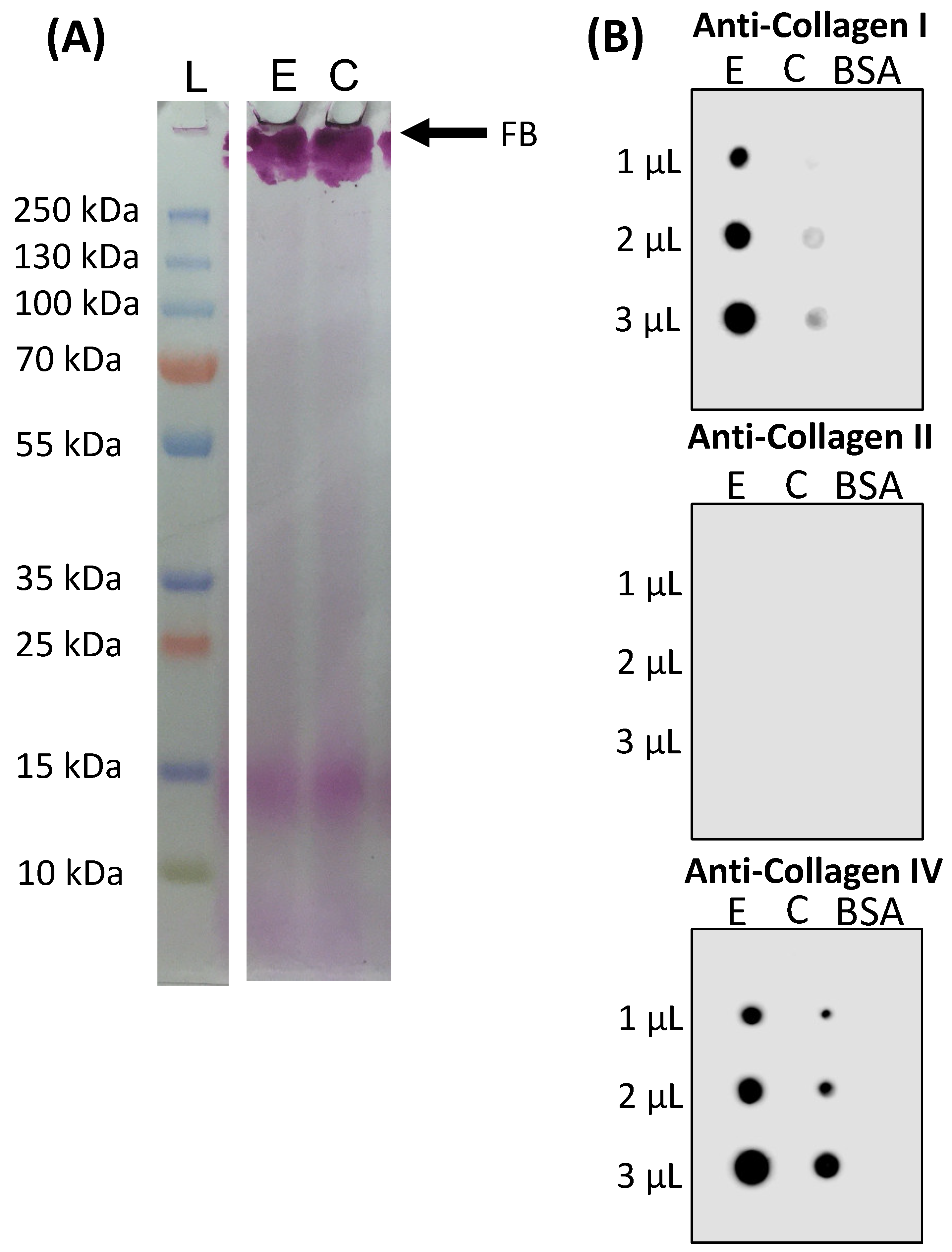 Marinedrugs 22 00055 g003