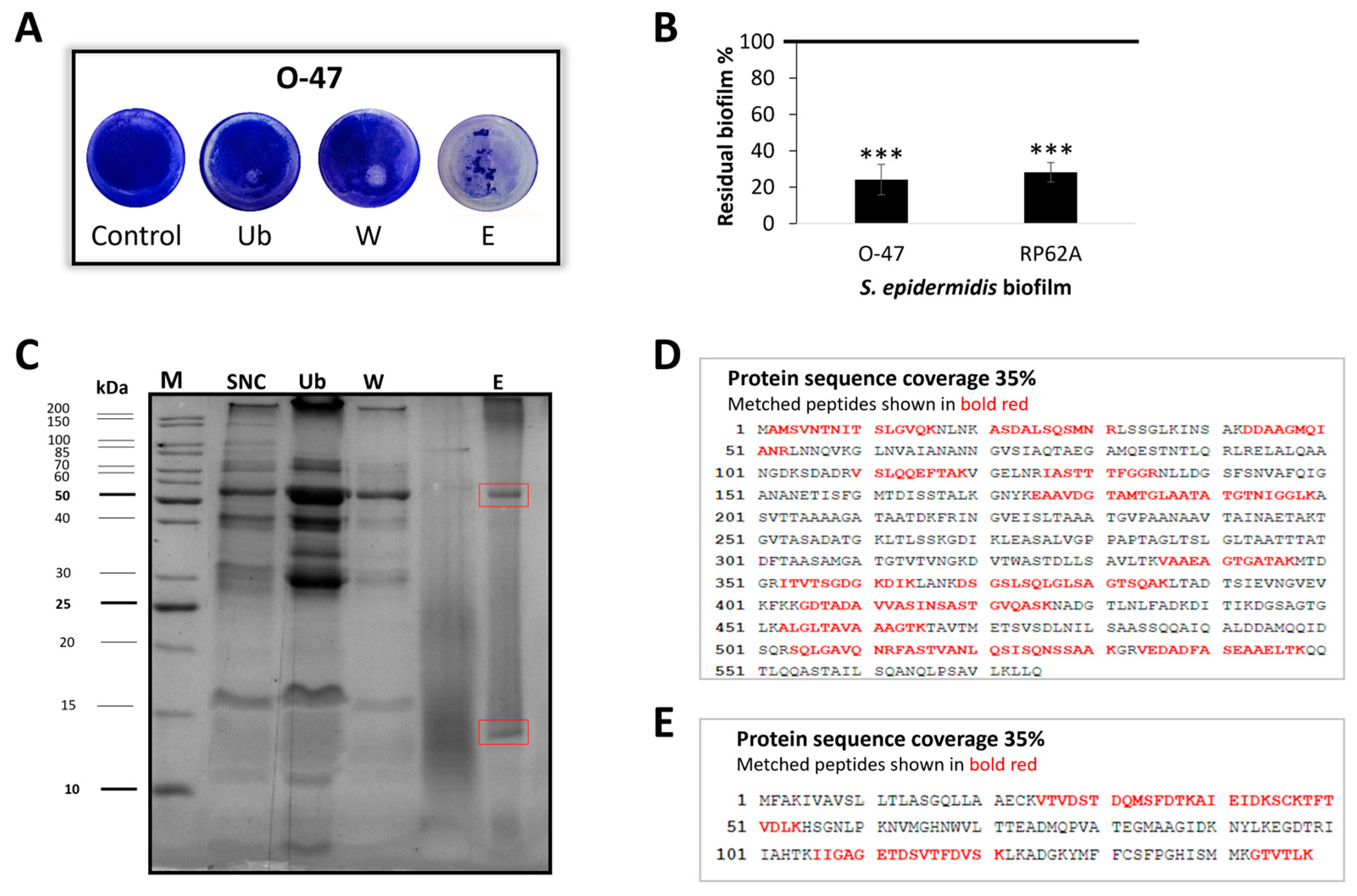 Marinedrugs 22 00061 g002