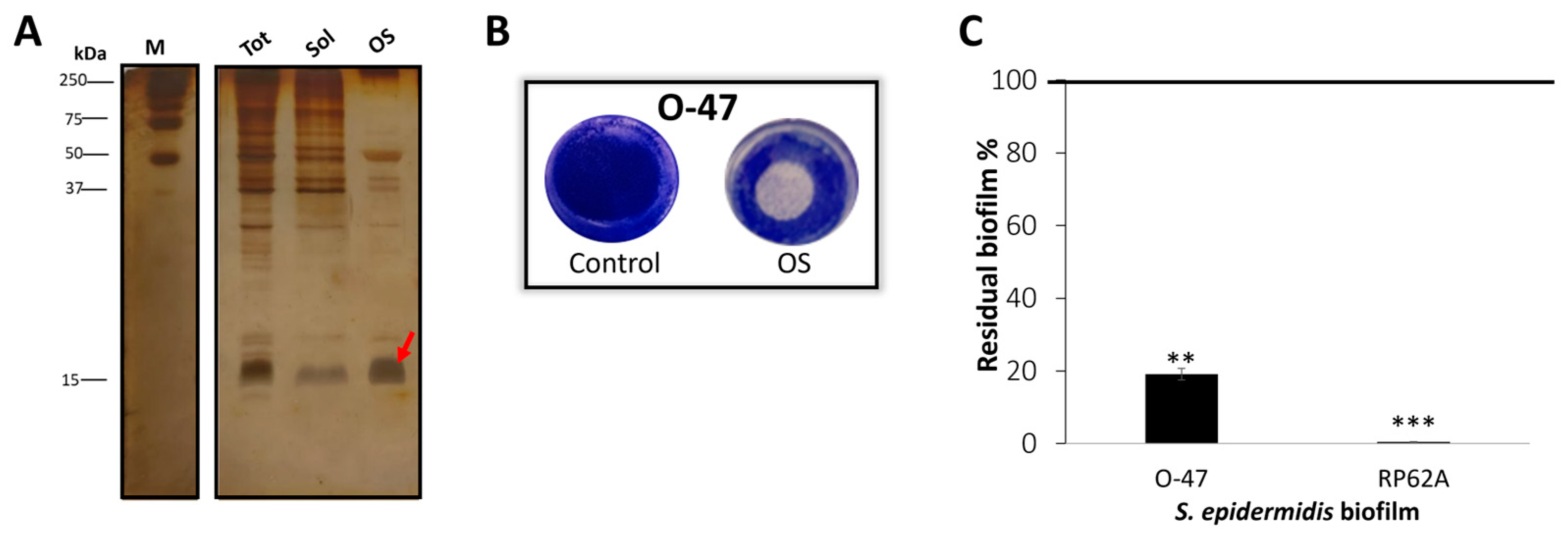 Marinedrugs 22 00061 g003