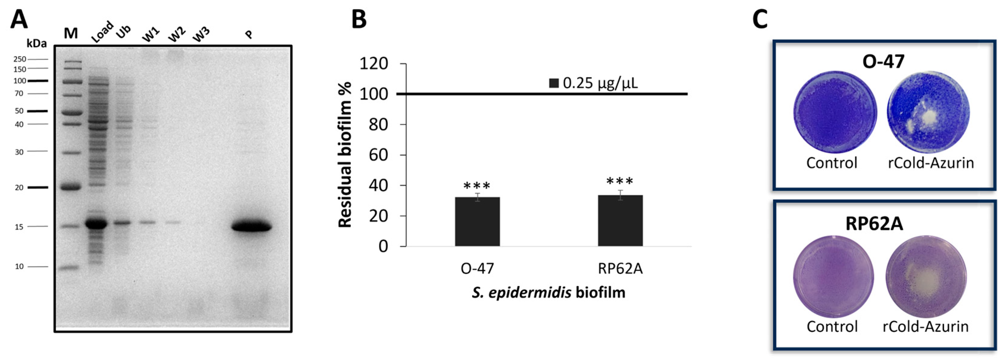 Marinedrugs 22 00061 g004
