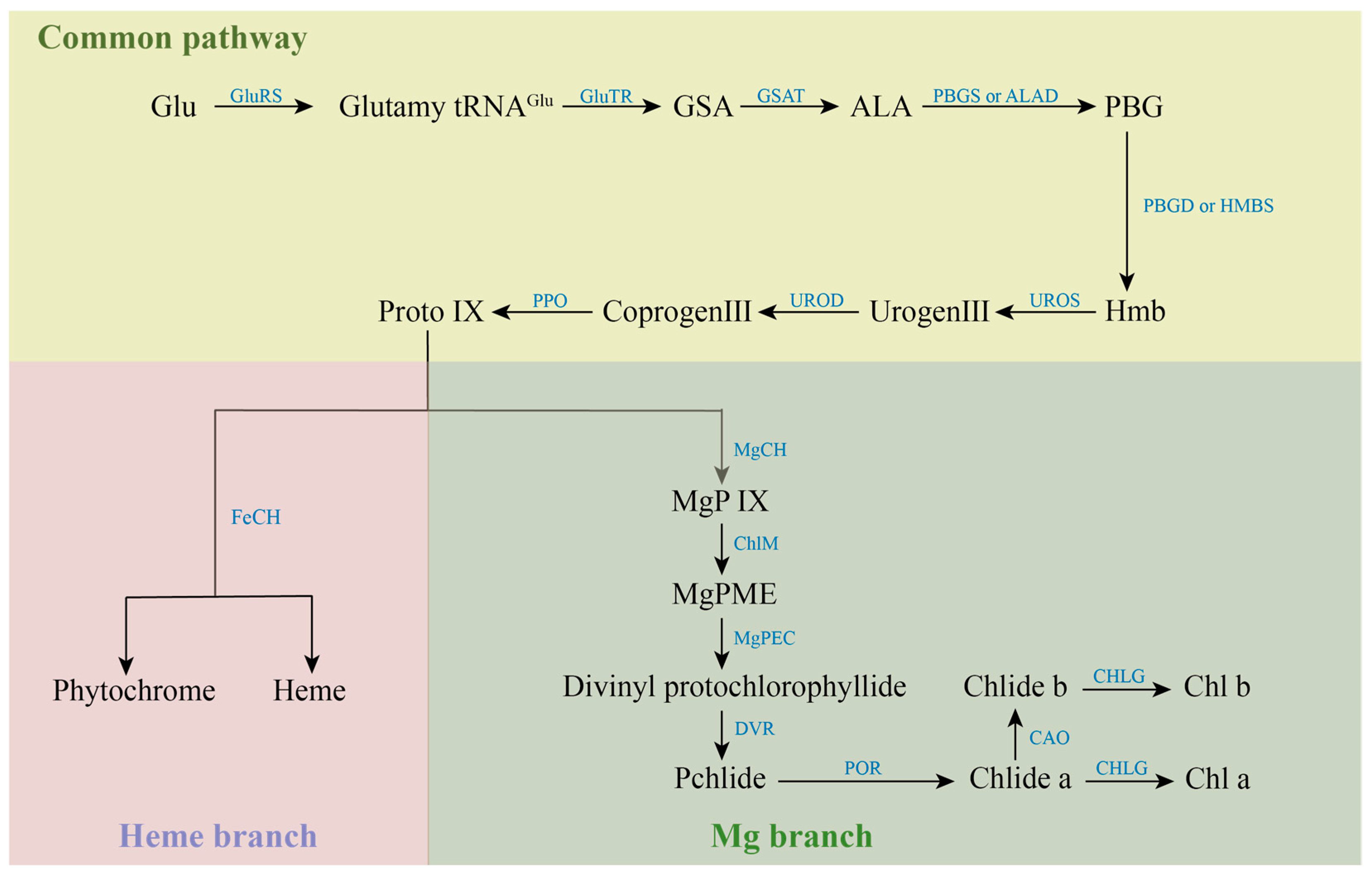 Marinedrugs 22 00065 g002