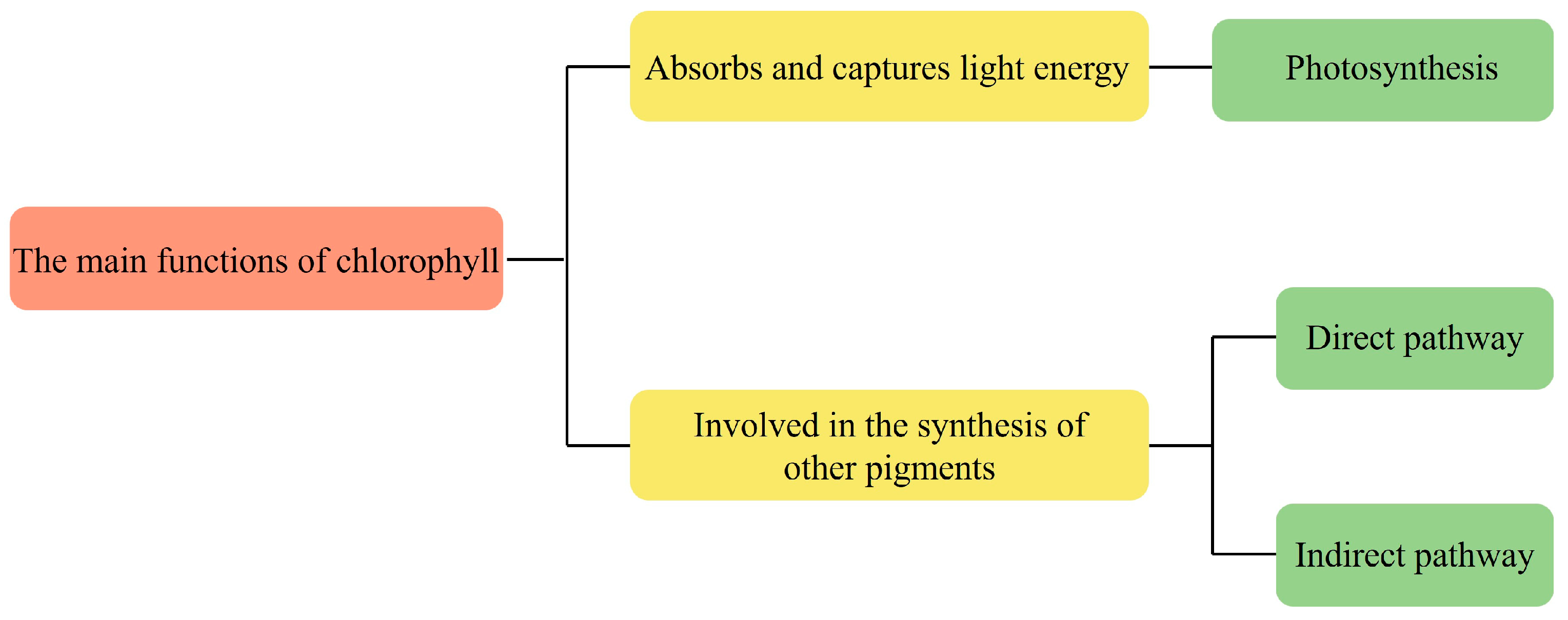 Marinedrugs 22 00065 g003