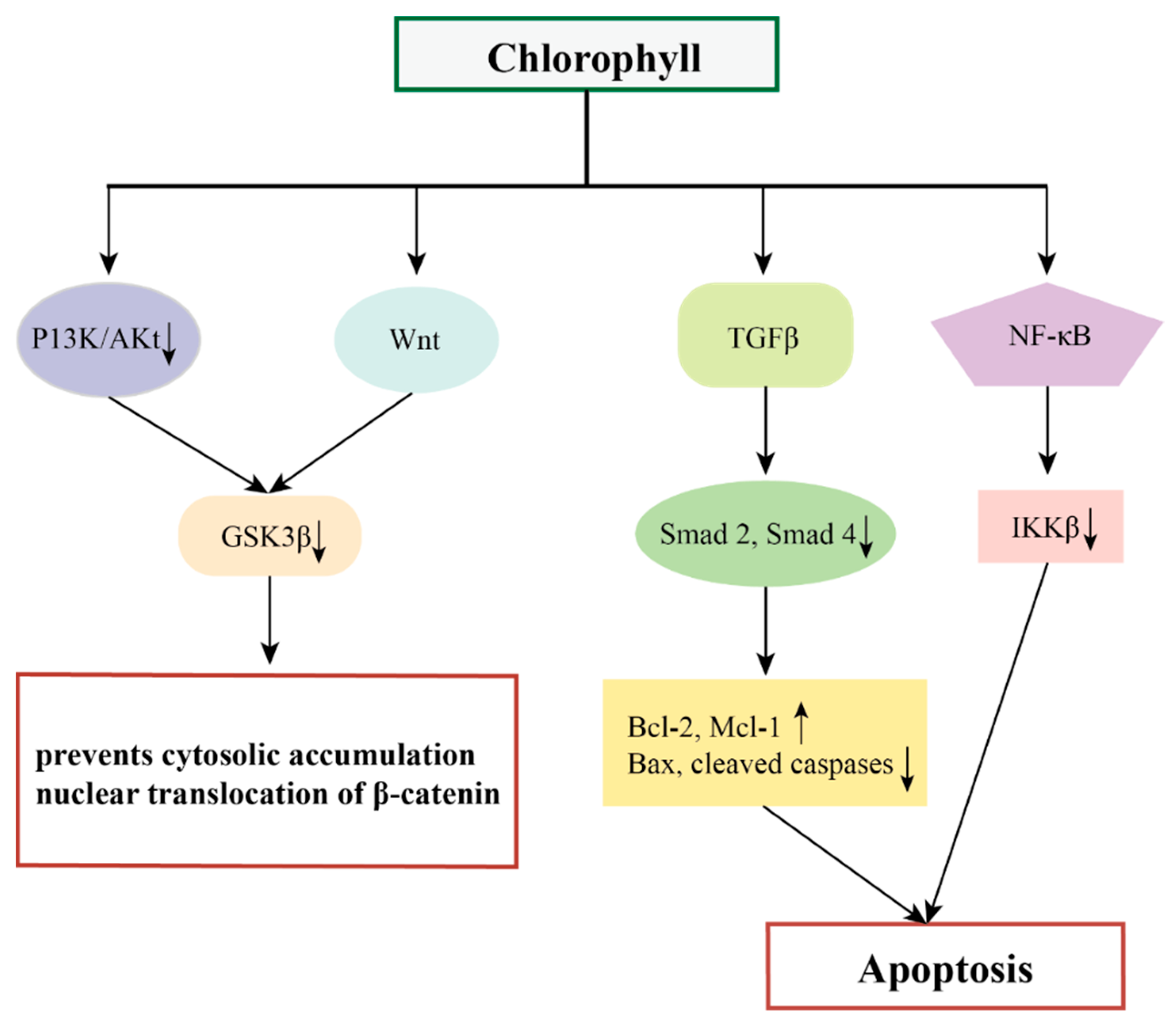 Marinedrugs 22 00065 g006