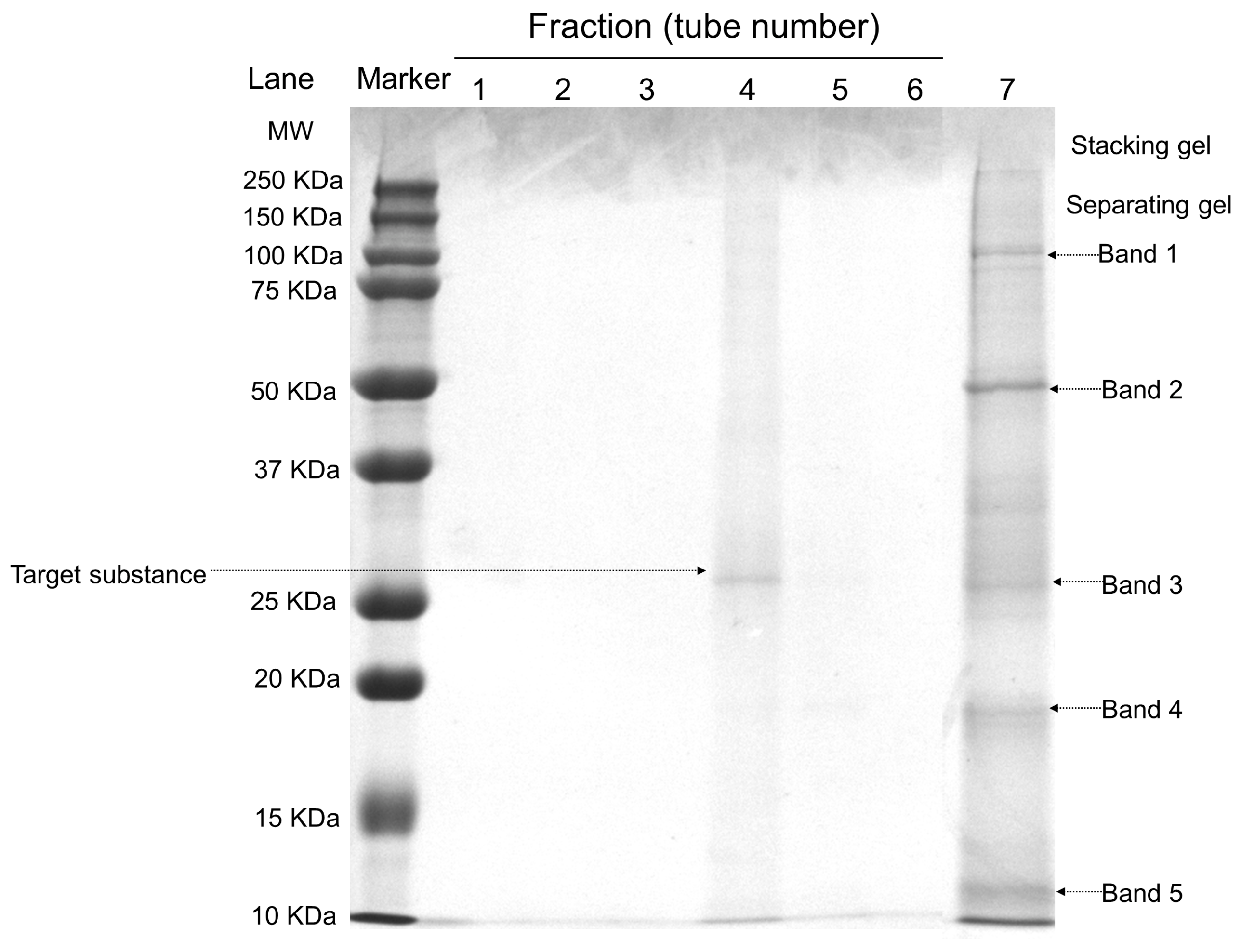 Marinedrugs 22 00068 g002