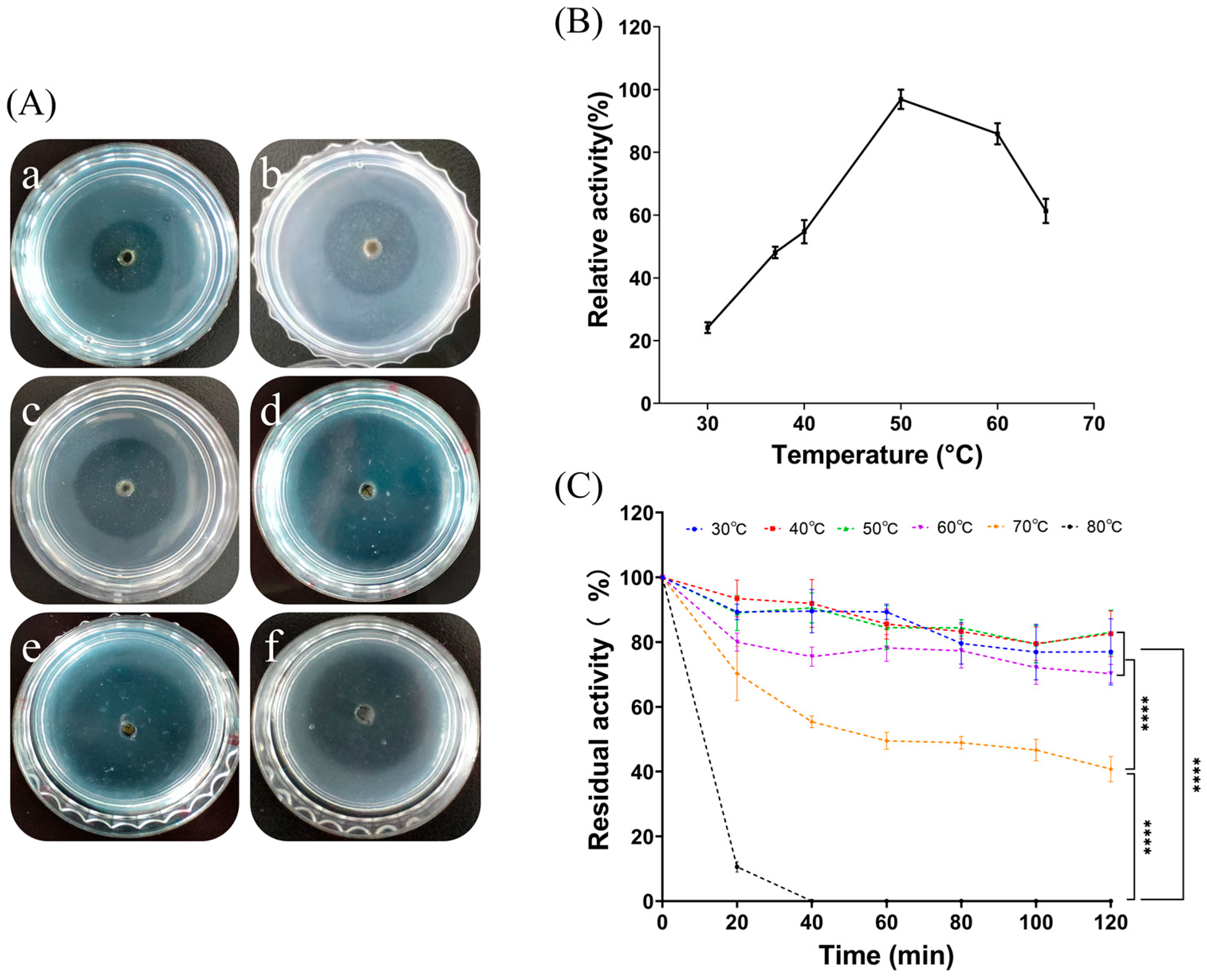 Marinedrugs 22 00068 g004