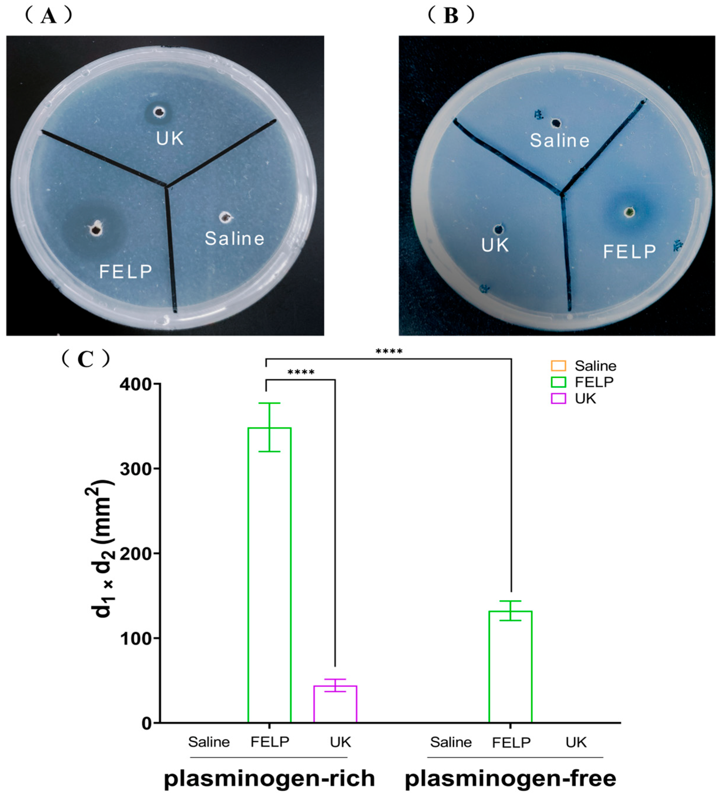 Marinedrugs 22 00068 g007