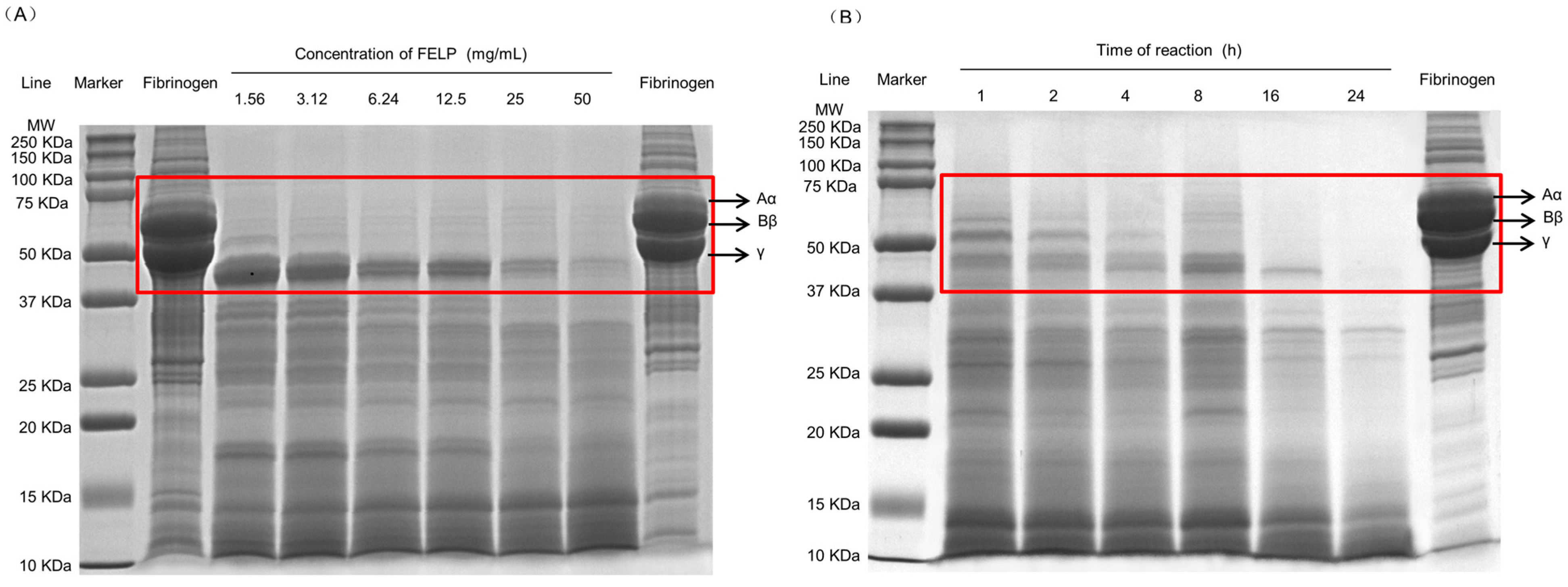 Marinedrugs 22 00068 g008