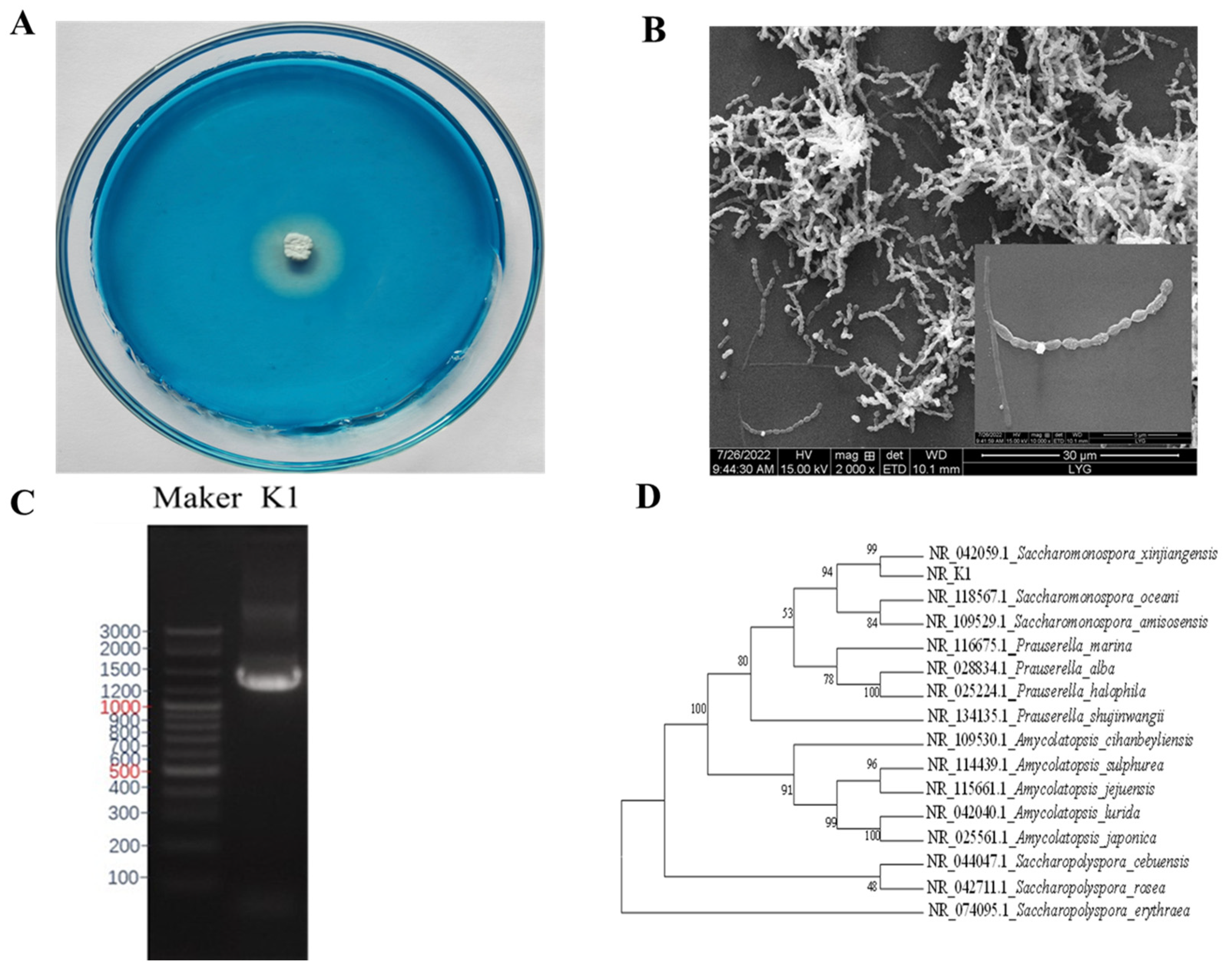 Marinedrugs 22 00069 g001