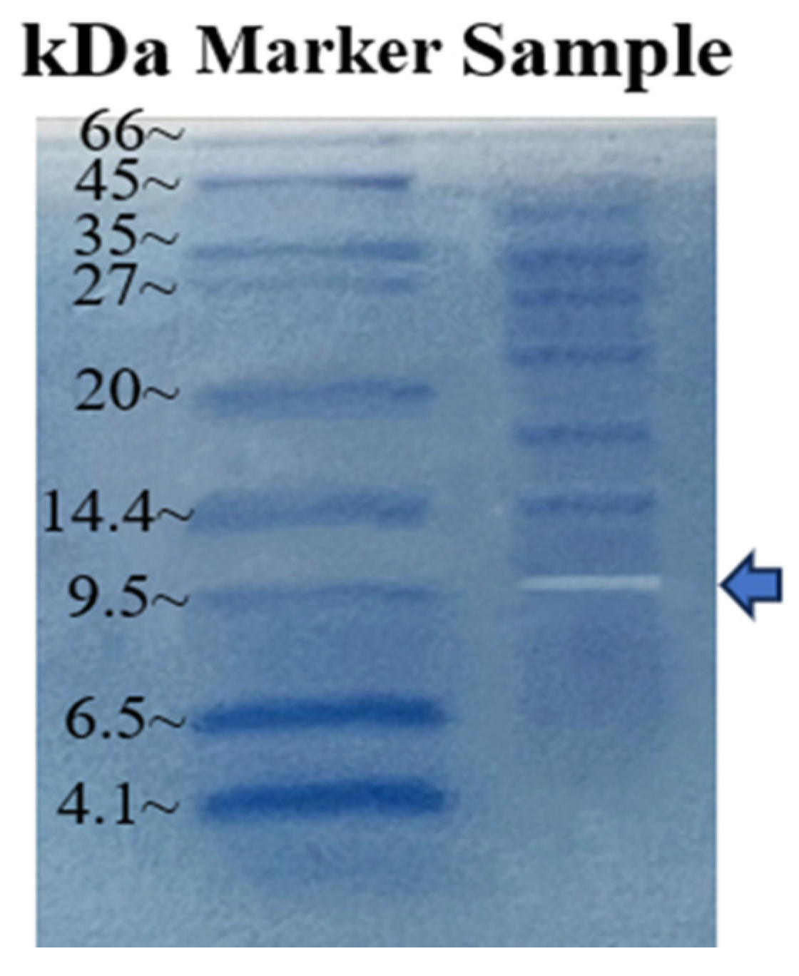 Marinedrugs 22 00069 g005