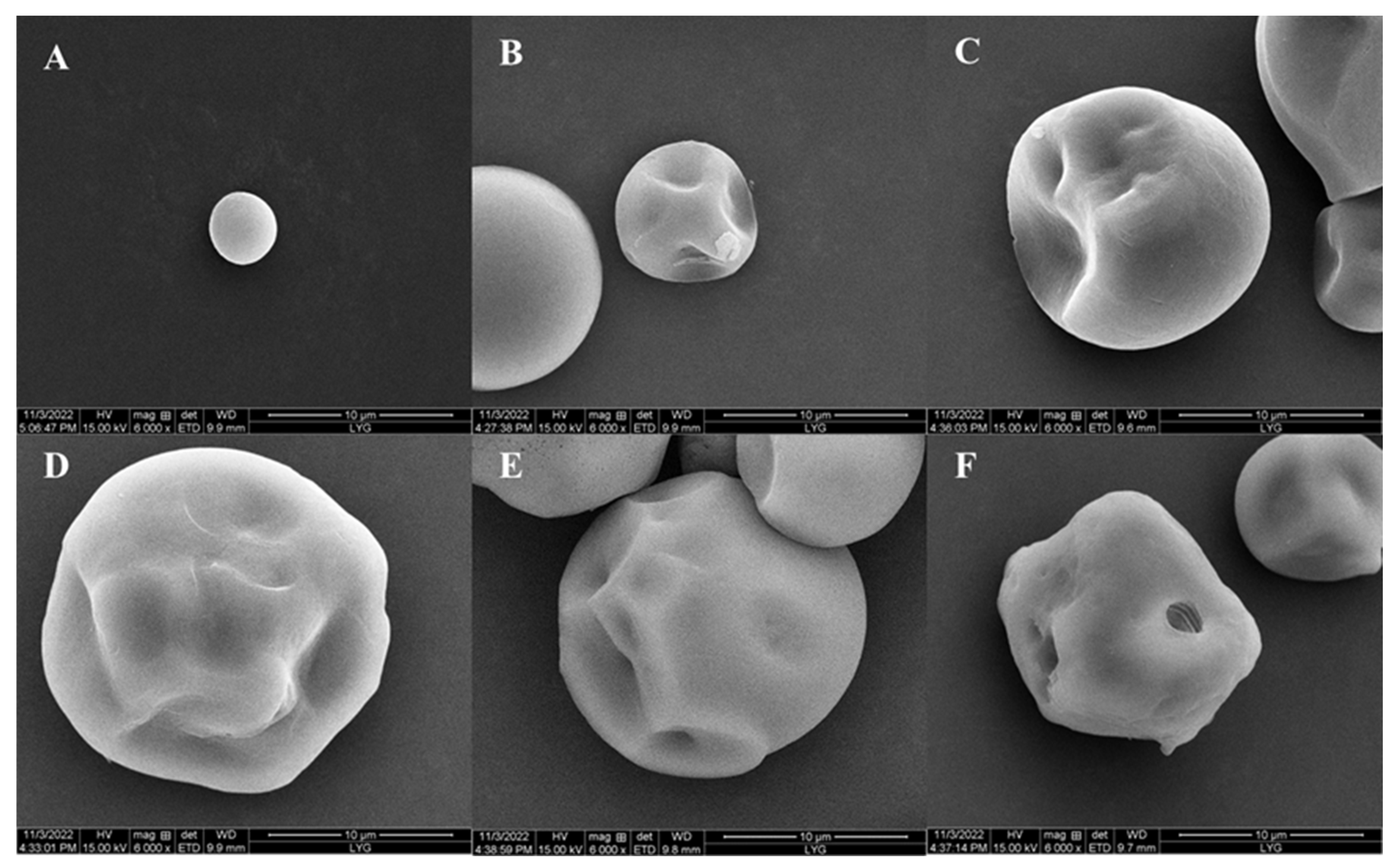 Marinedrugs 22 00069 g008