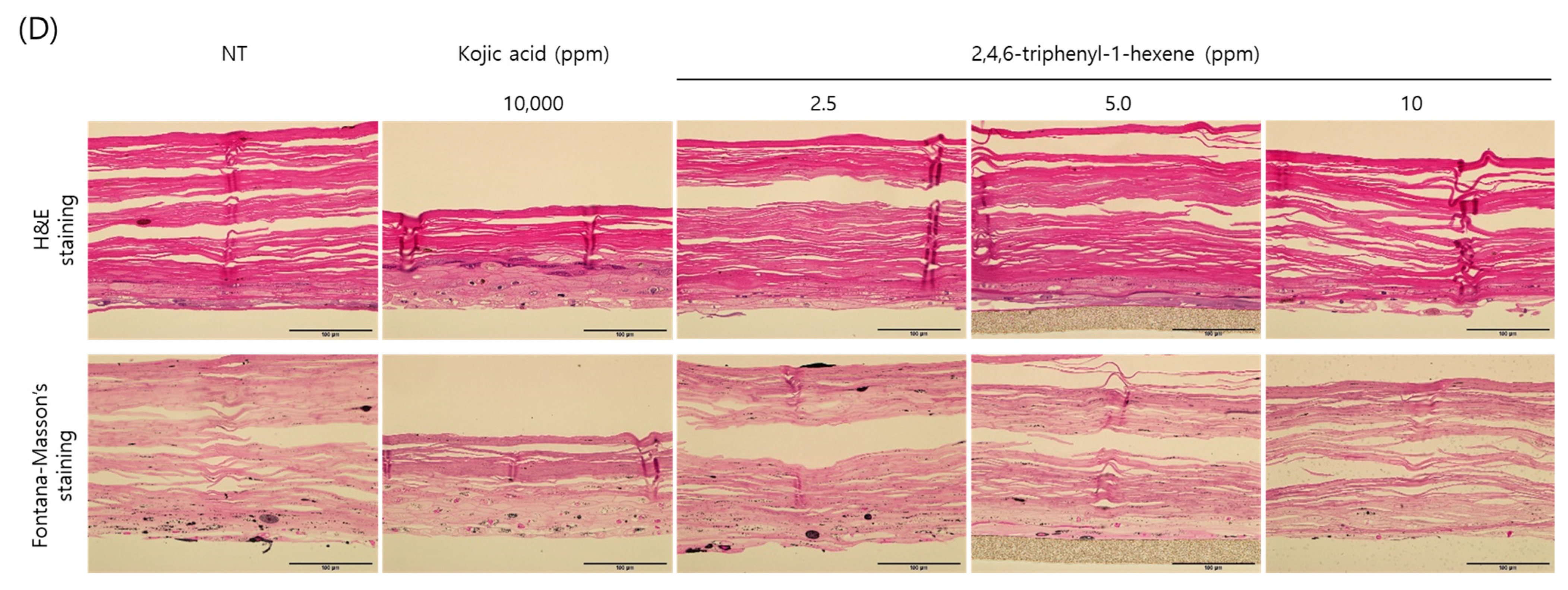Marinedrugs 22 00072 g005b