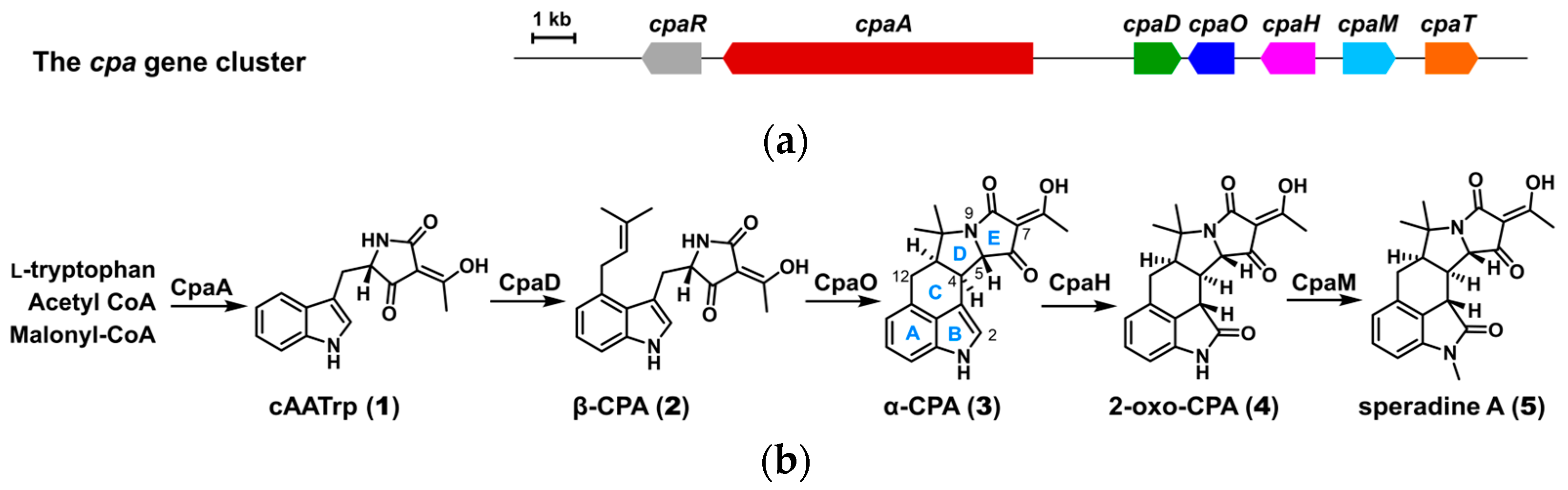 Marinedrugs 22 00074 g001