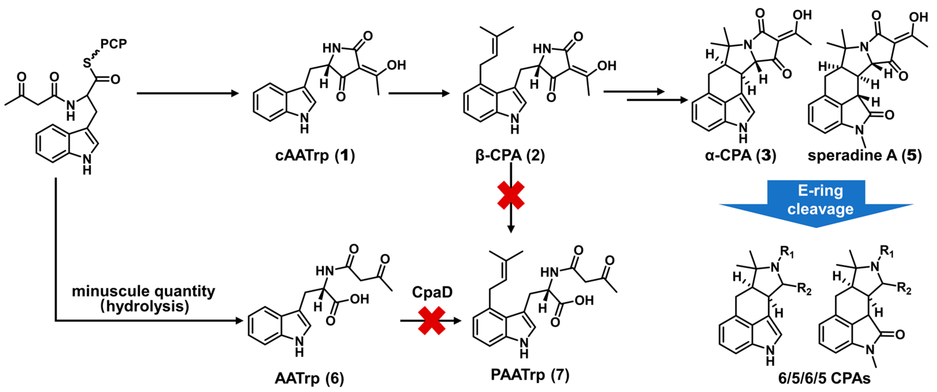 Marinedrugs 22 00074 sch002