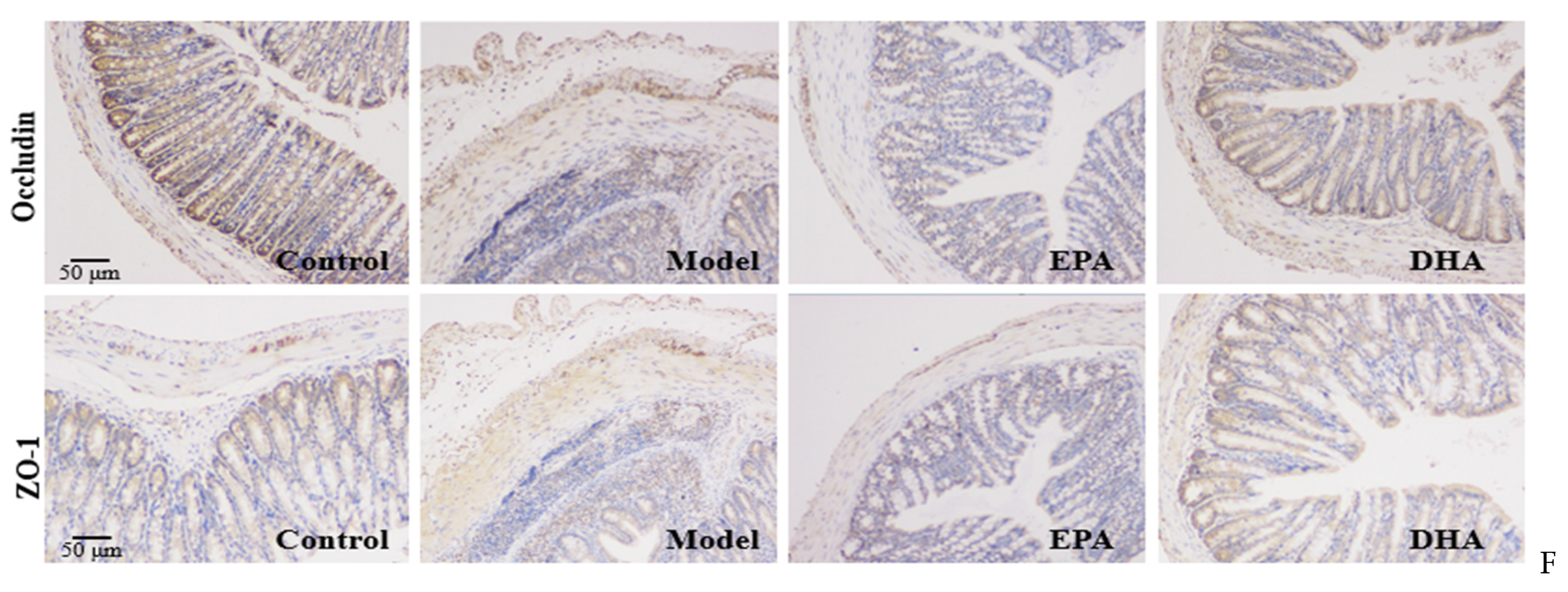 Marinedrugs 22 00076 g002b