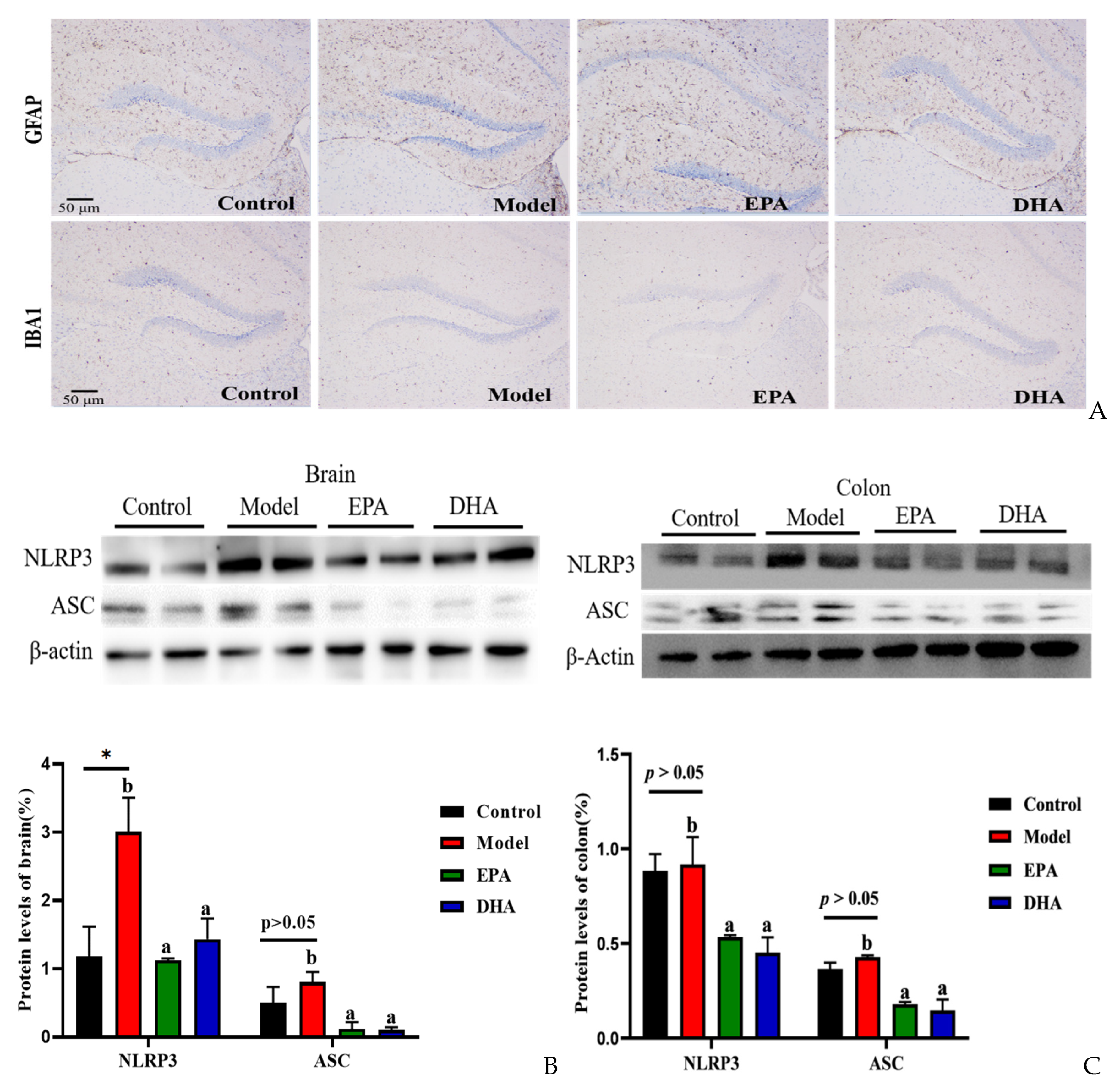 Marinedrugs 22 00076 g004a