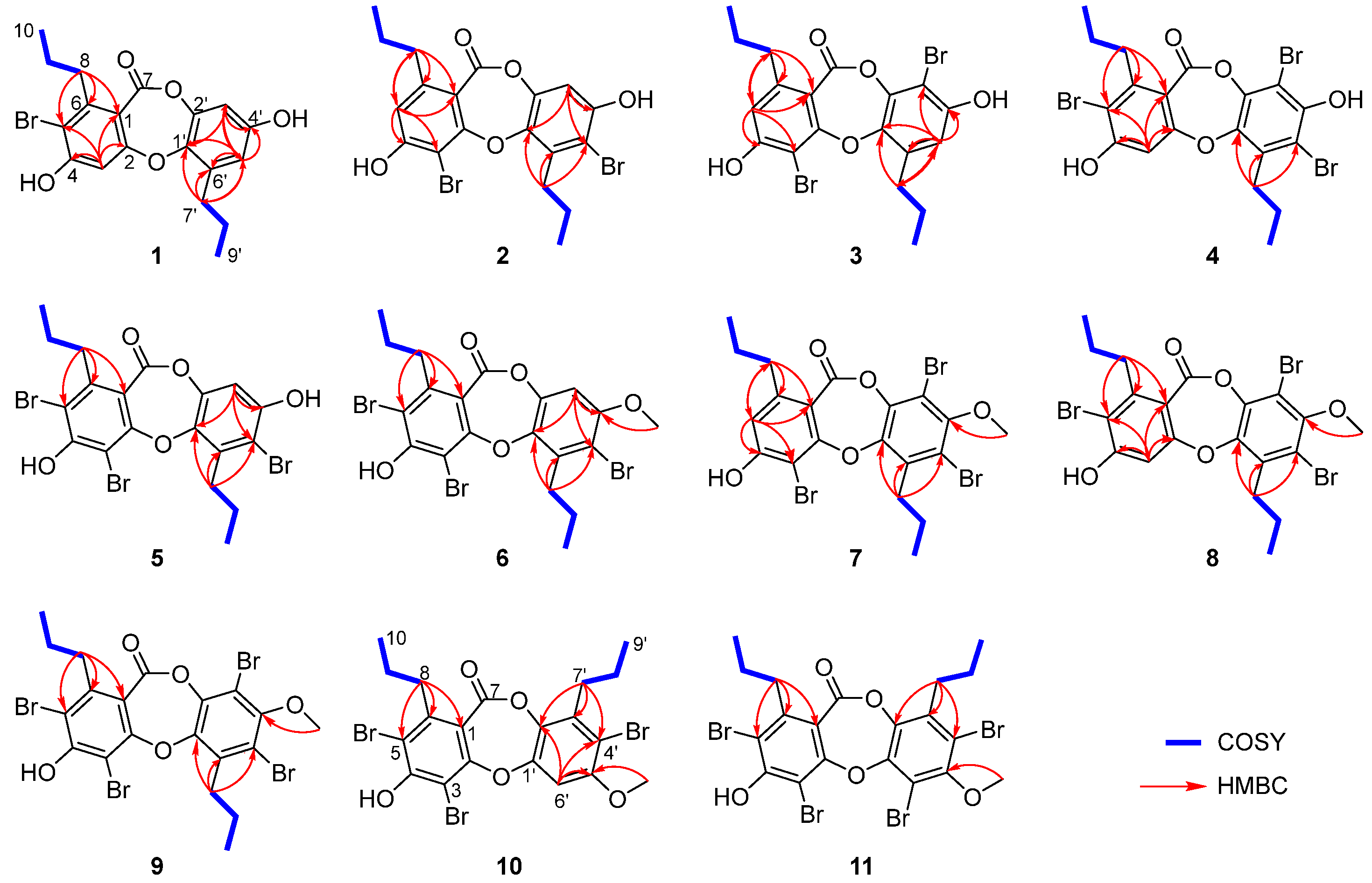 Marinedrugs 22 00078 g002