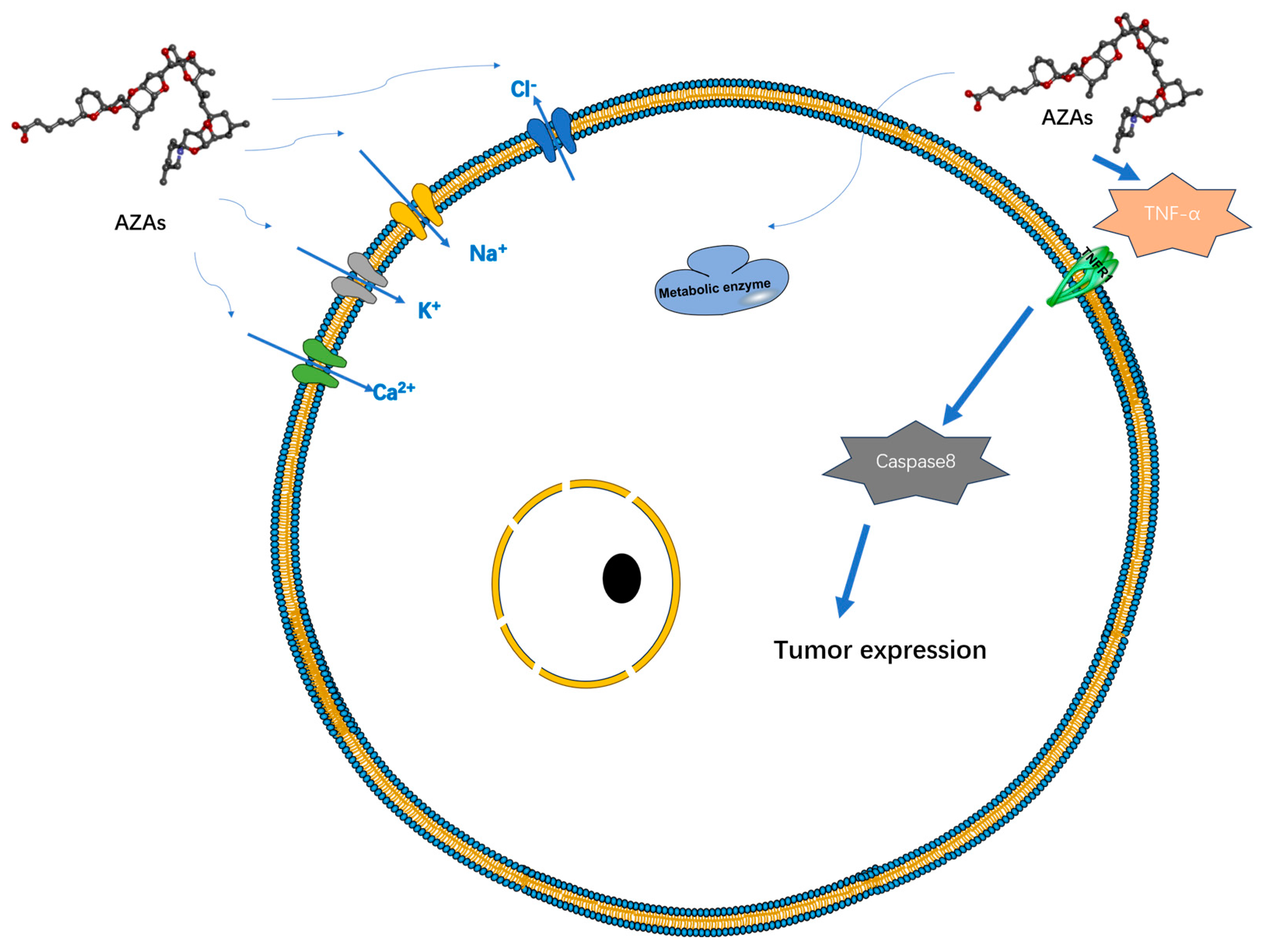 Marinedrugs 22 00079 g003