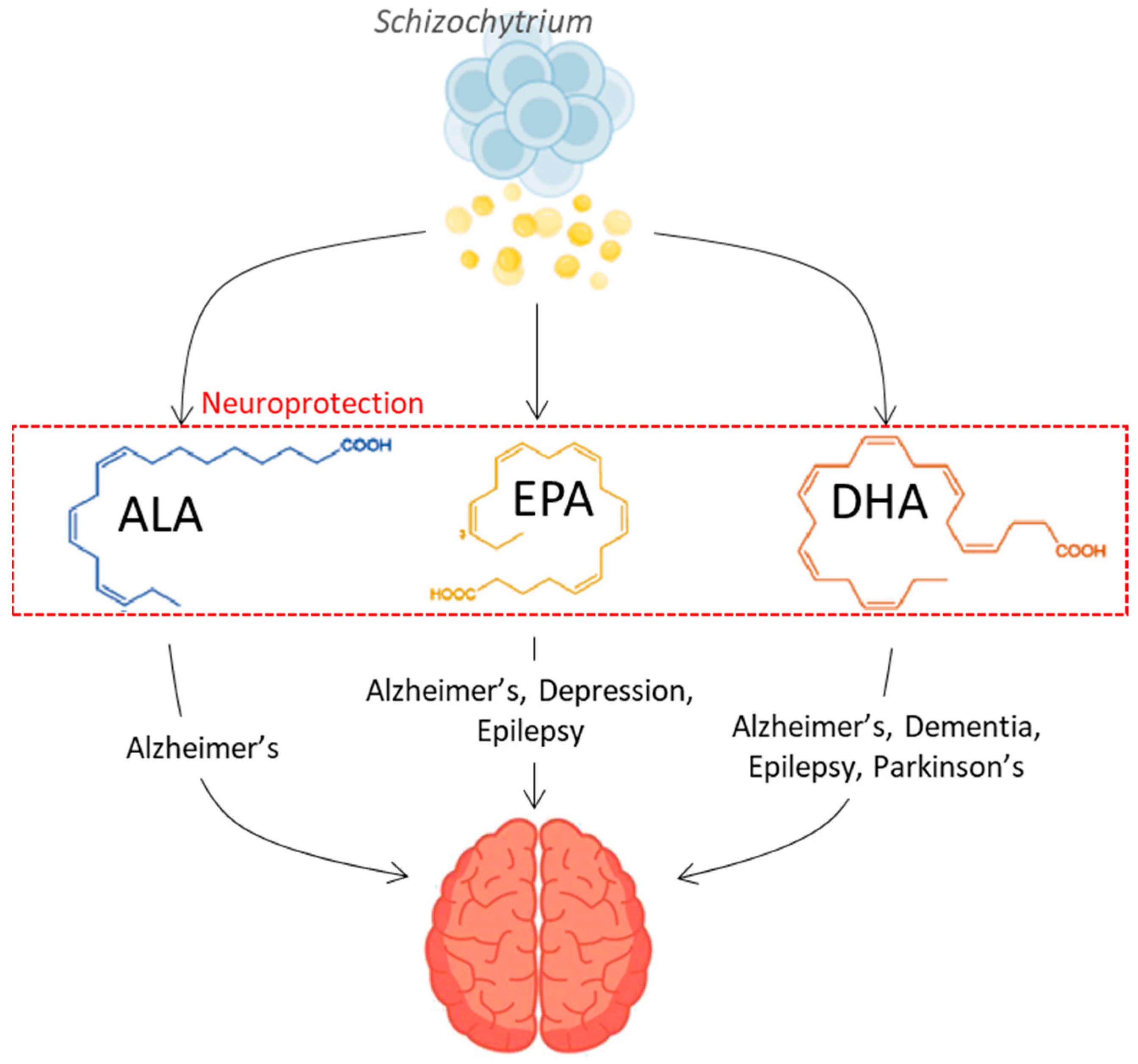 Marinedrugs 22 00080 g001