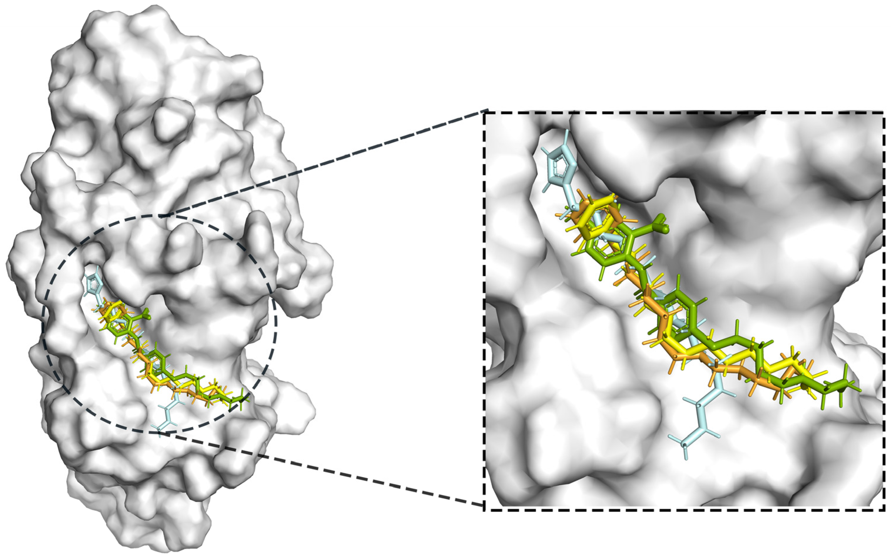 Marinedrugs 22 00083 g007
