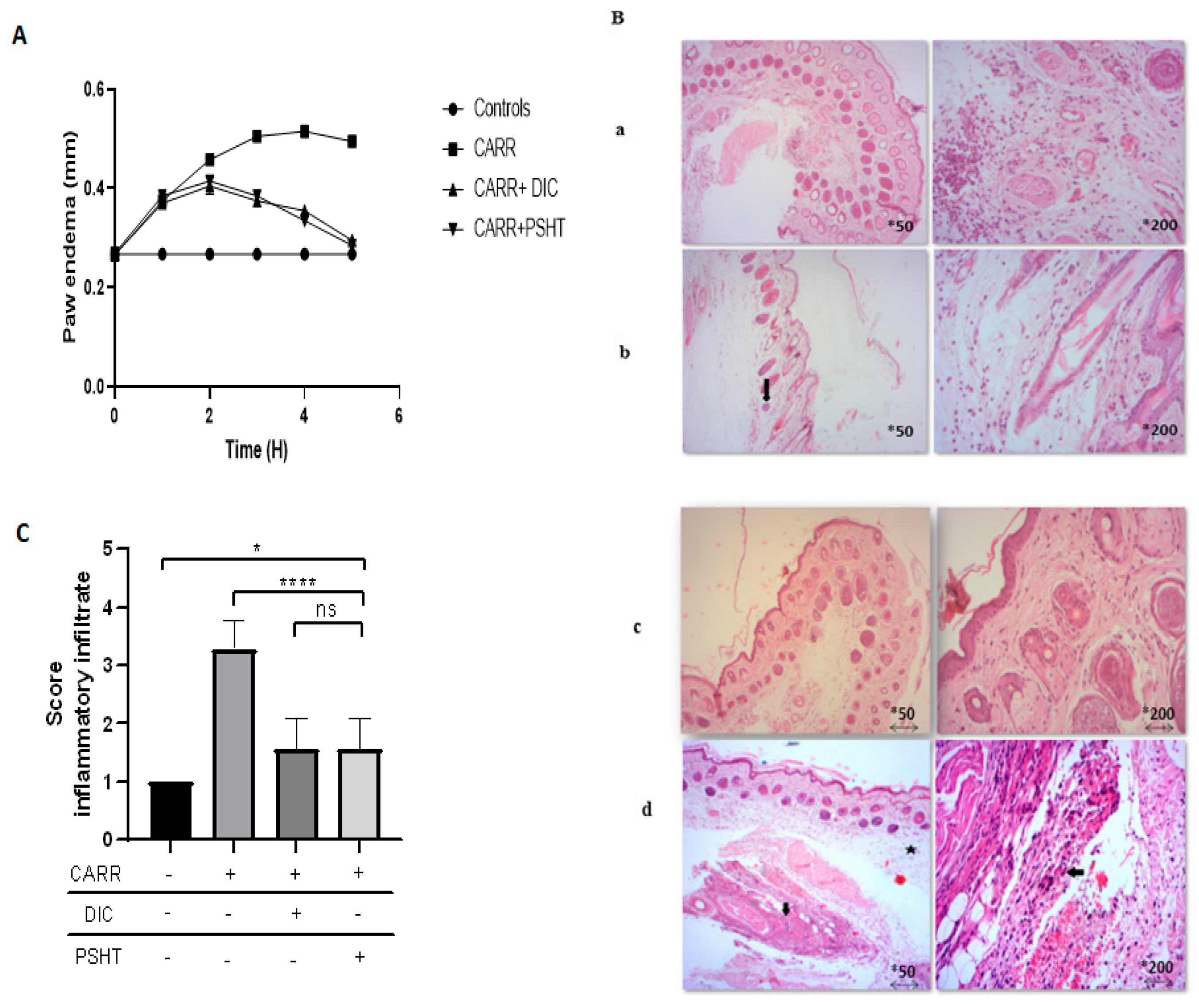 Marinedrugs 22 00085 g006