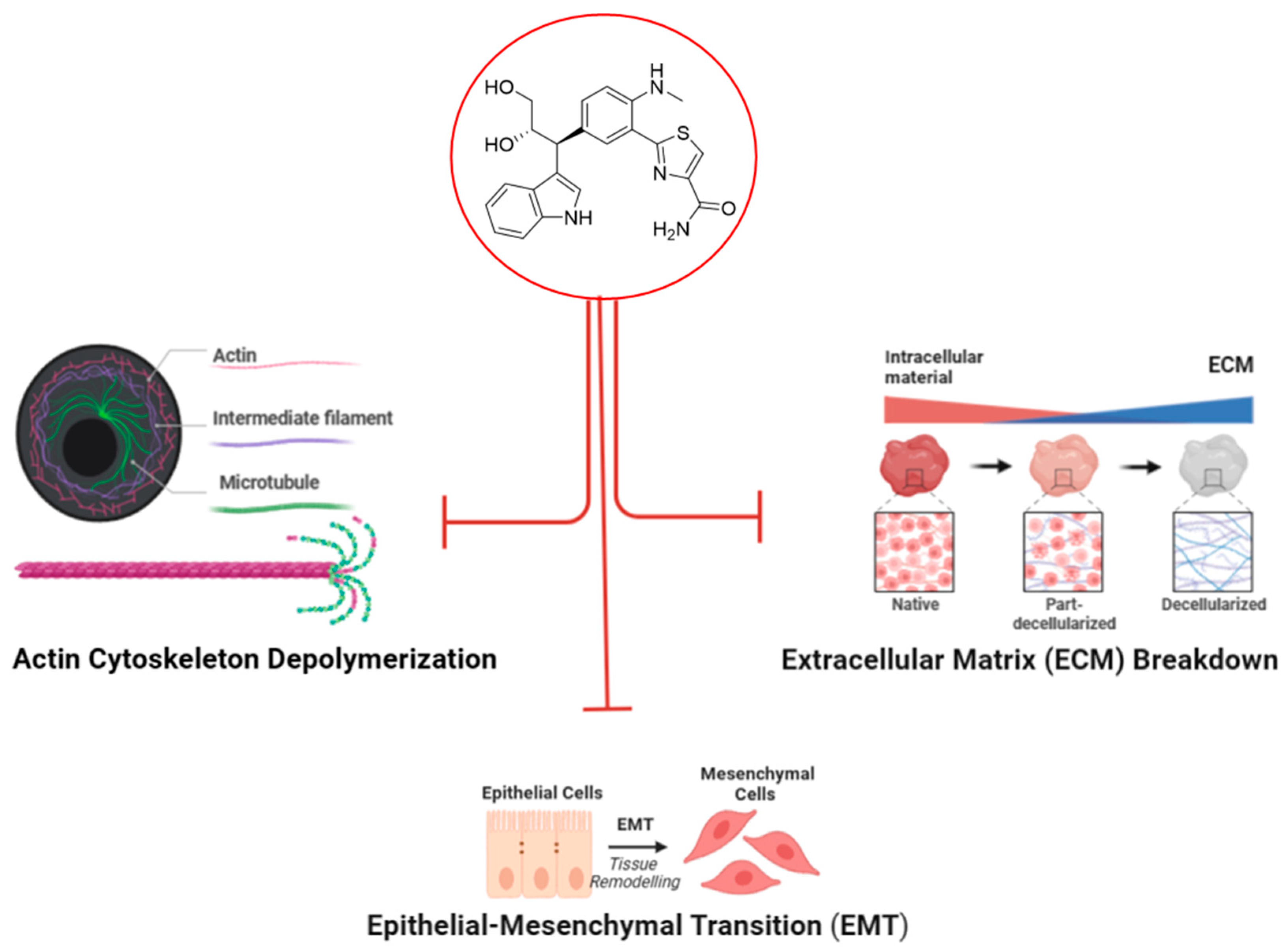 Marinedrugs 22 00088 g008